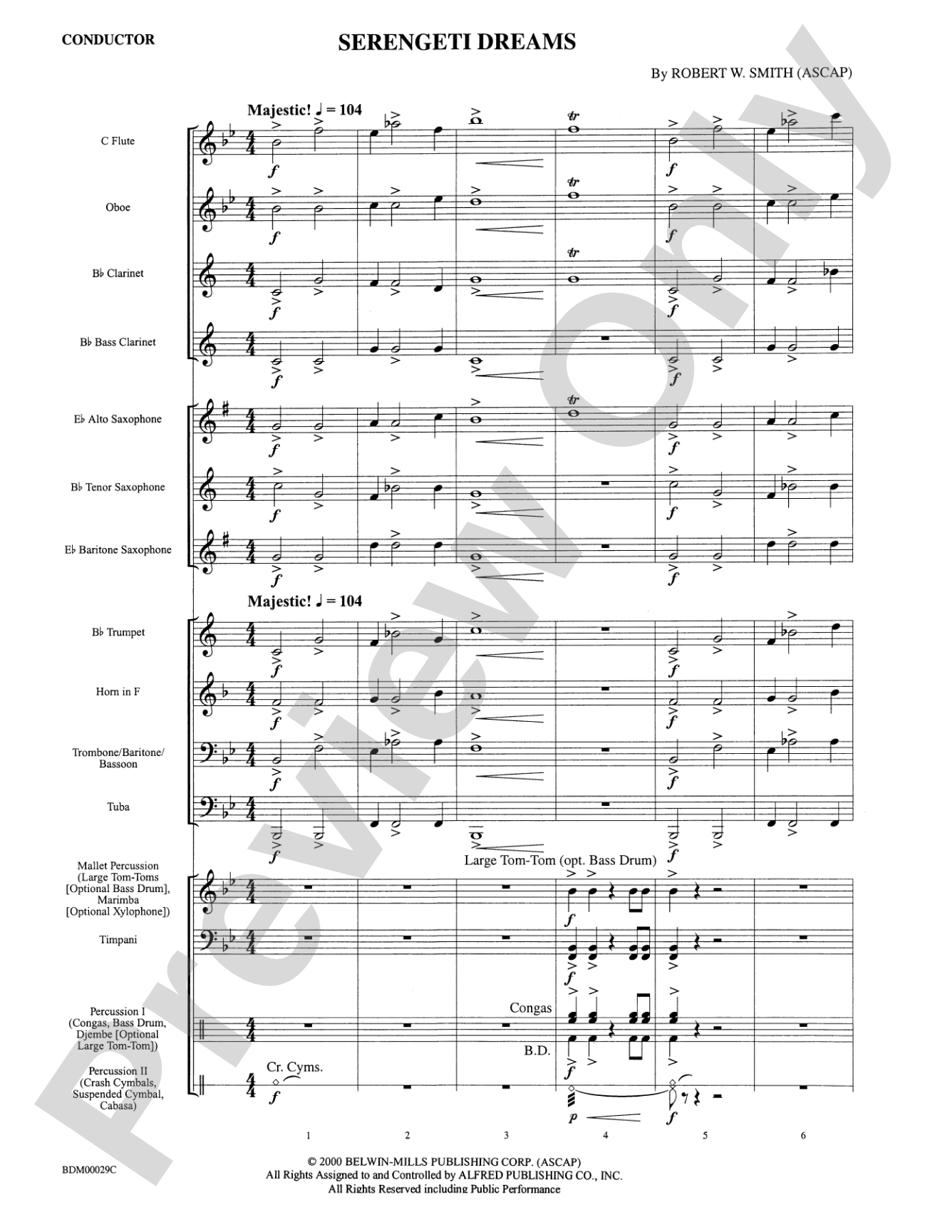 Serengeti Dreams: Concert Band Conductor Score & Parts