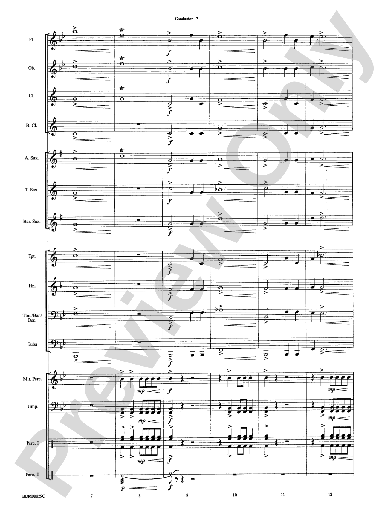 Serengeti Dreams: Concert Band Conductor Score & Parts