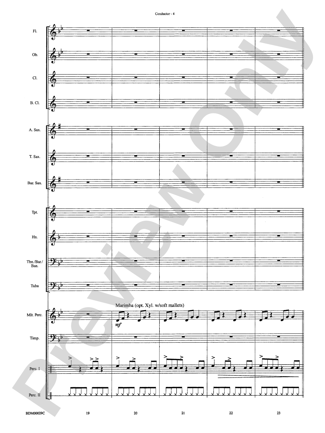 Serengeti Dreams: Concert Band Conductor Score & Parts