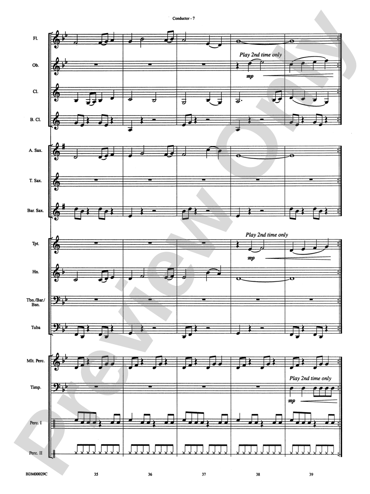 Serengeti Dreams: Concert Band Conductor Score & Parts