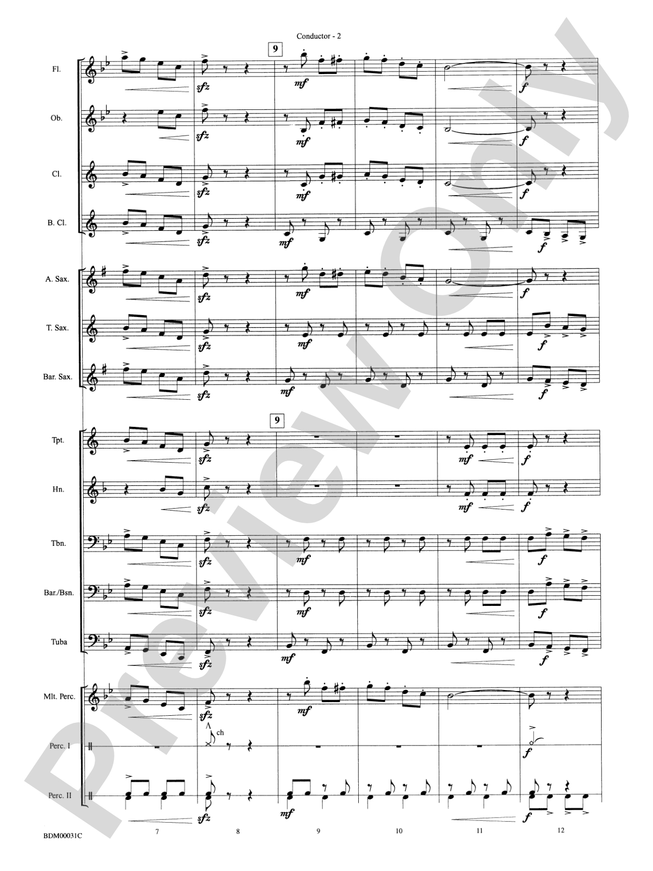 The High School Cadets: Concert Band Conductor Score & Parts