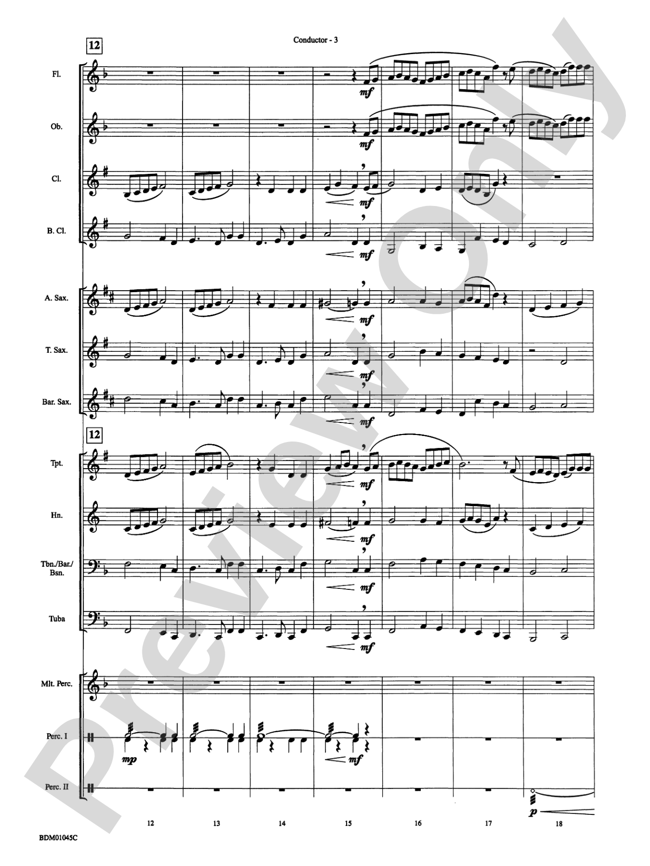 Ayrshire Portrait: Concert Band Conductor Score & Parts