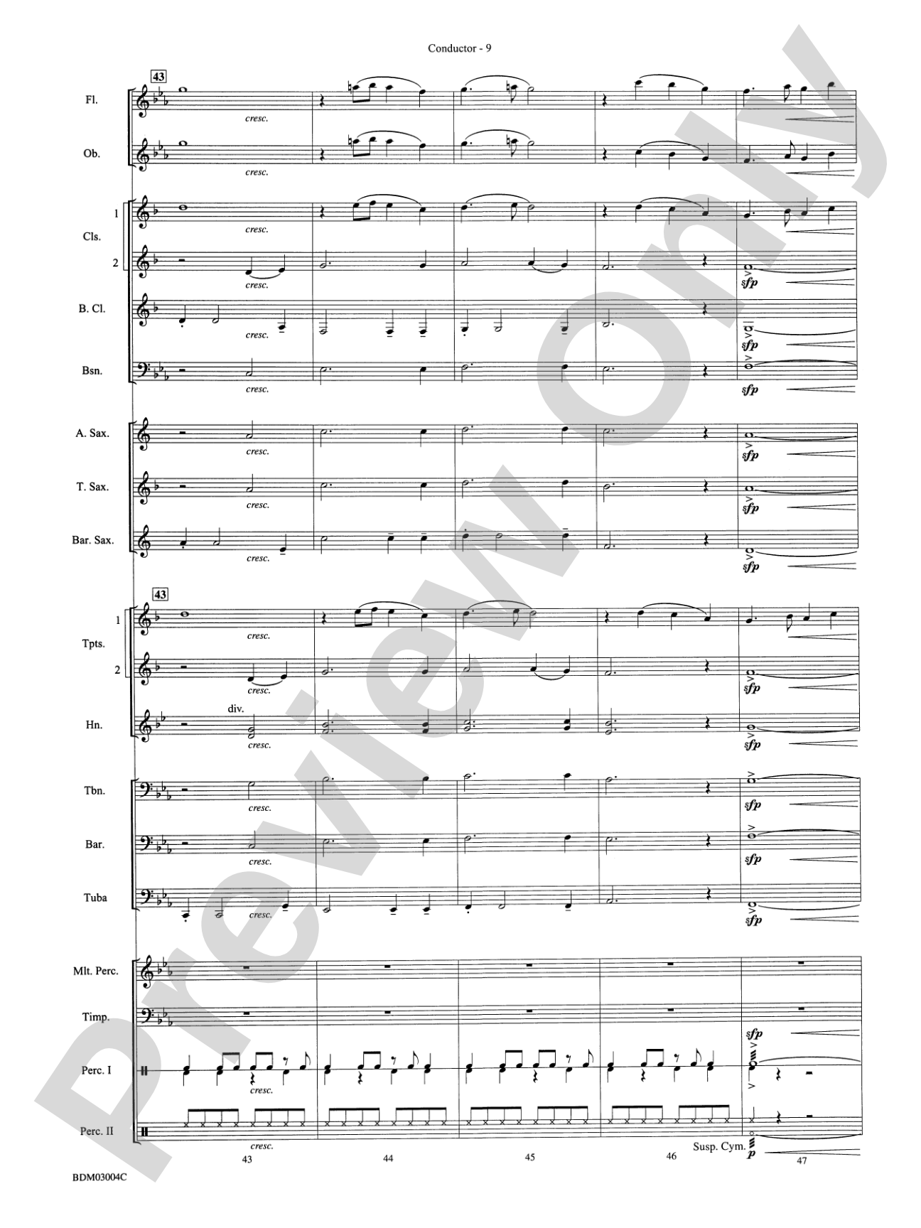 In the Valley of the Ancients: Concert Band Conductor Score & Parts