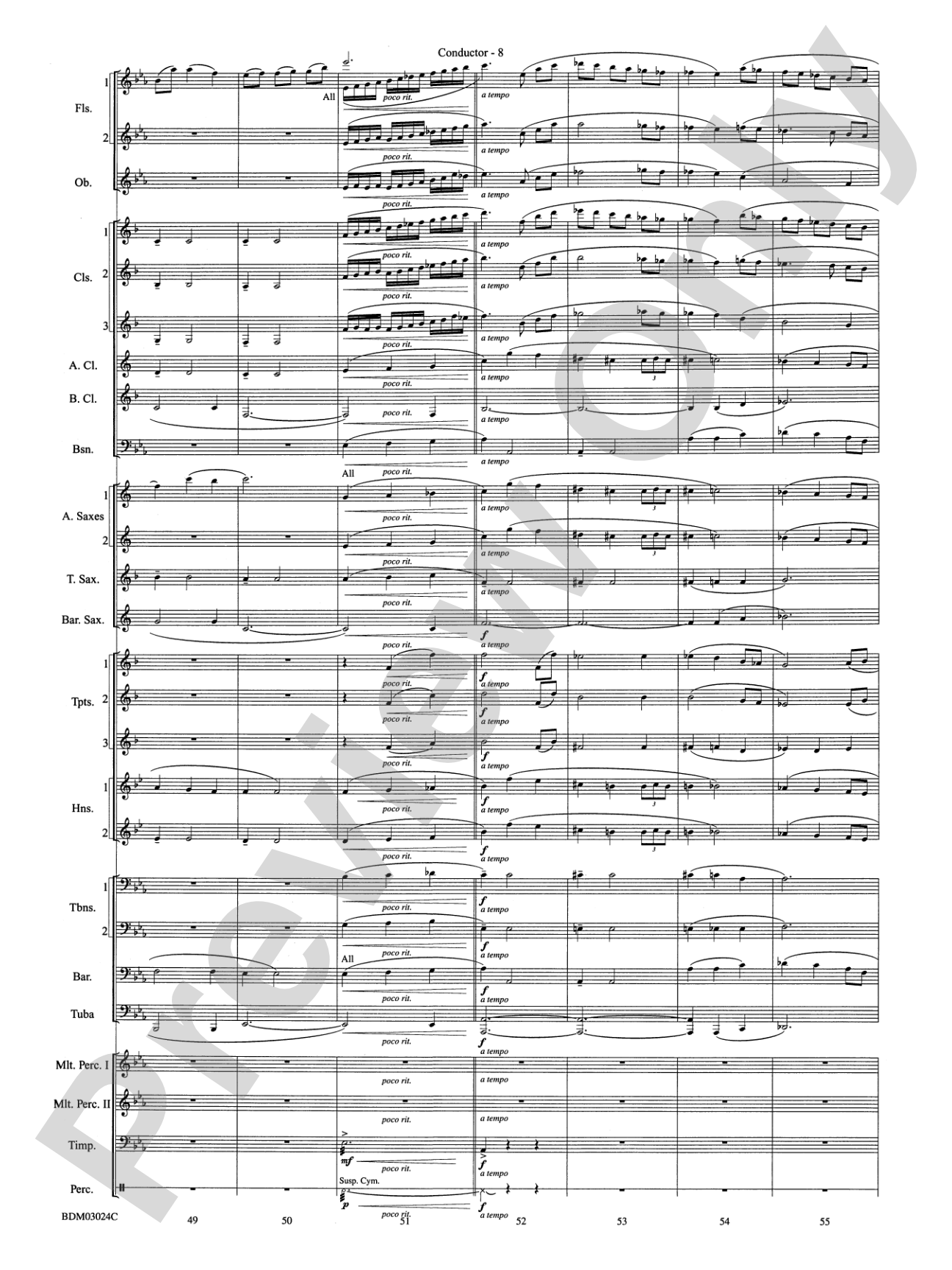 Winter Rhapsody: Concert Band Conductor Score & Parts
