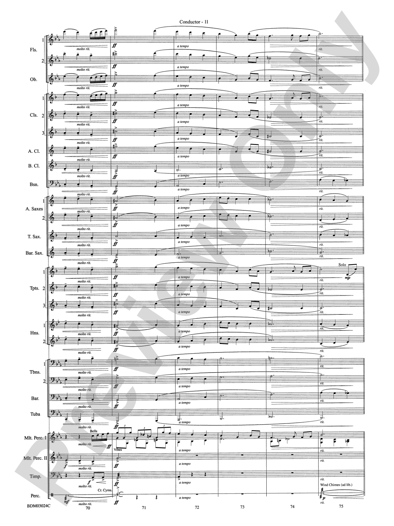 Winter Rhapsody: Concert Band Conductor Score & Parts