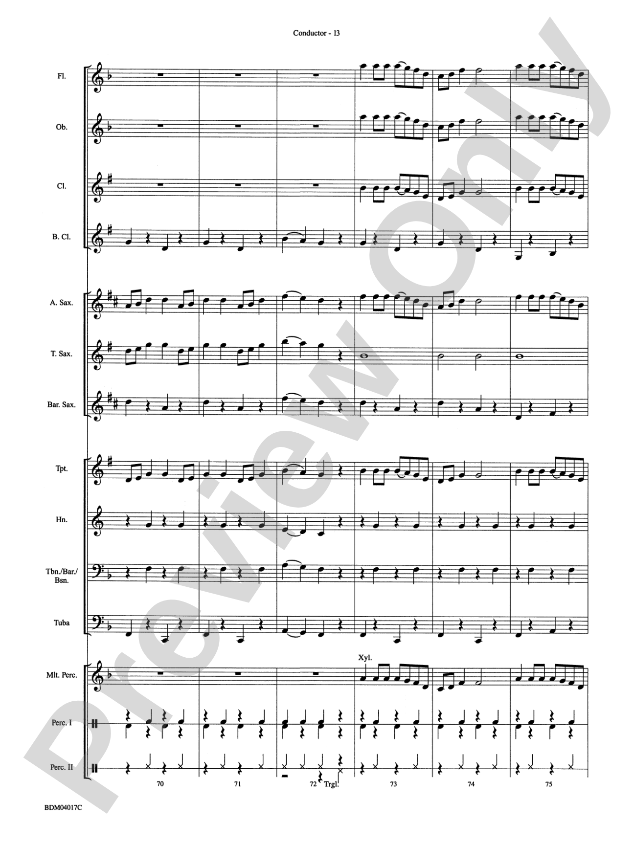 Storm Mountain Jubilee: Concert Band Conductor Score & Parts
