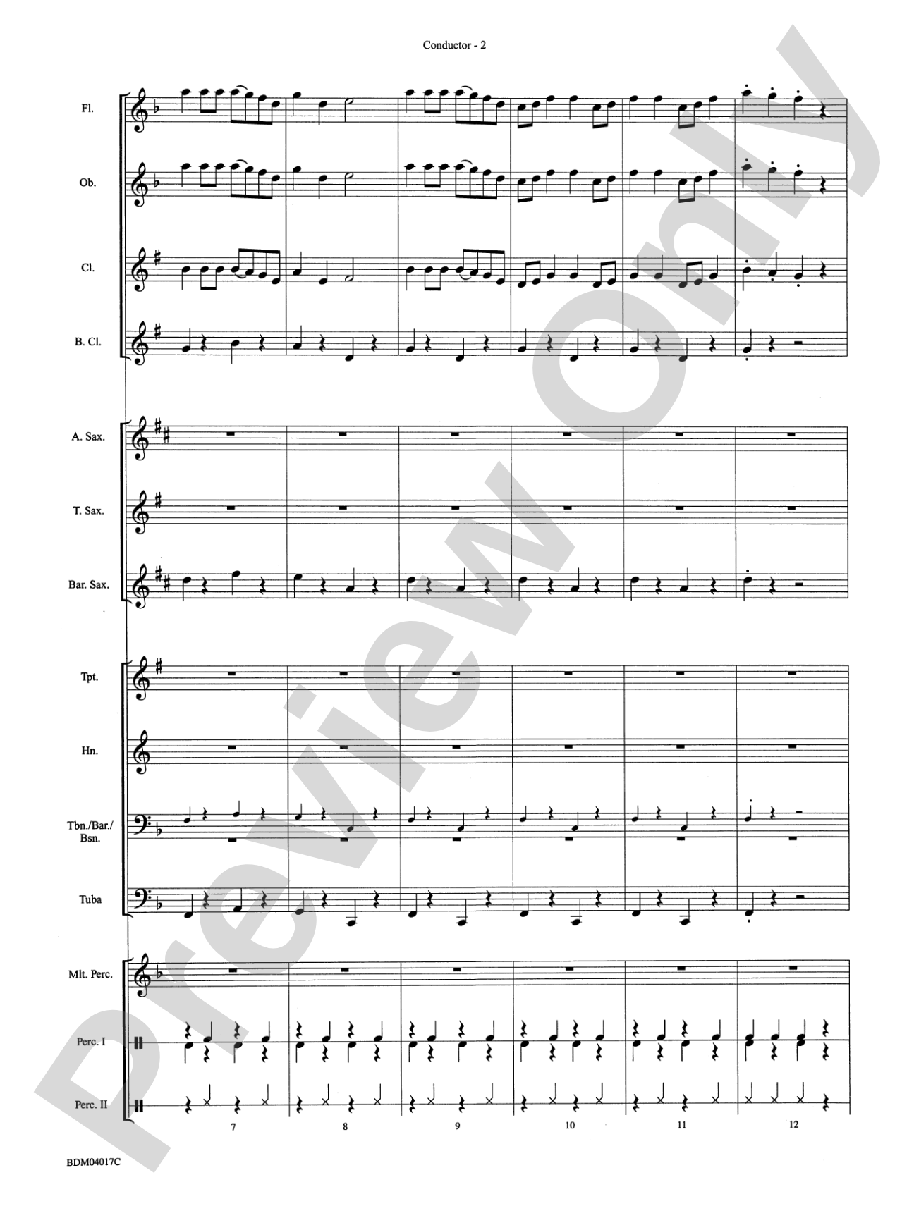 Storm Mountain Jubilee: Concert Band Conductor Score & Parts
