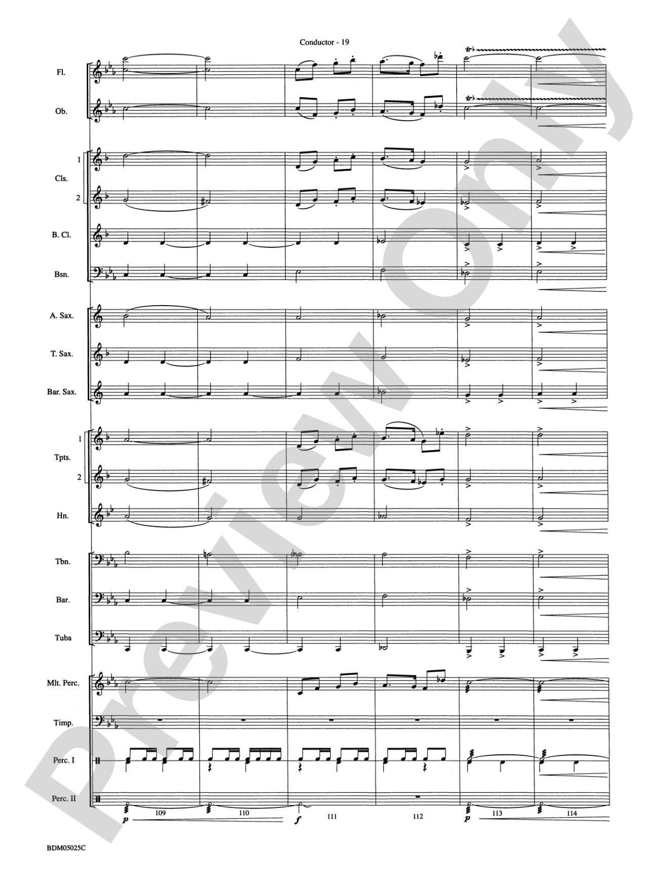 Fanfare for a New Age: Concert Band Conductor Score & Parts