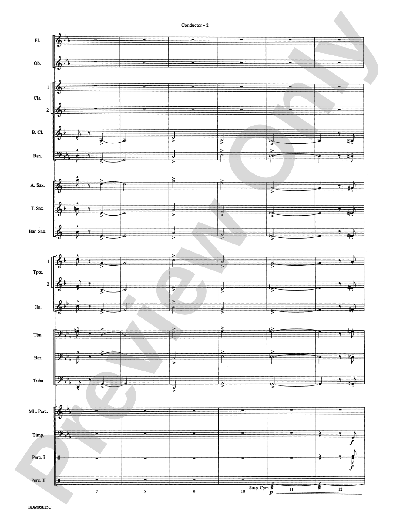 Fanfare for a New Age: Concert Band Conductor Score & Parts