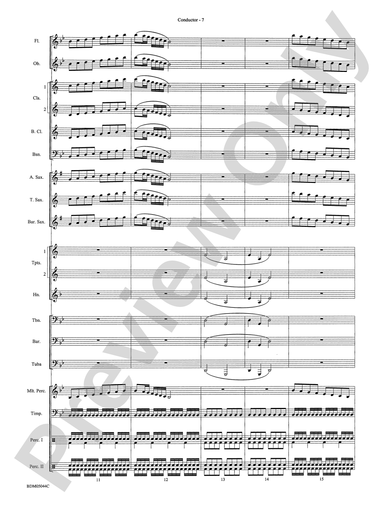 Developing Band Clinic (A Warm-Up and Fundamental Sequence for Concert Band): Concert Band Conductor Score & Parts
