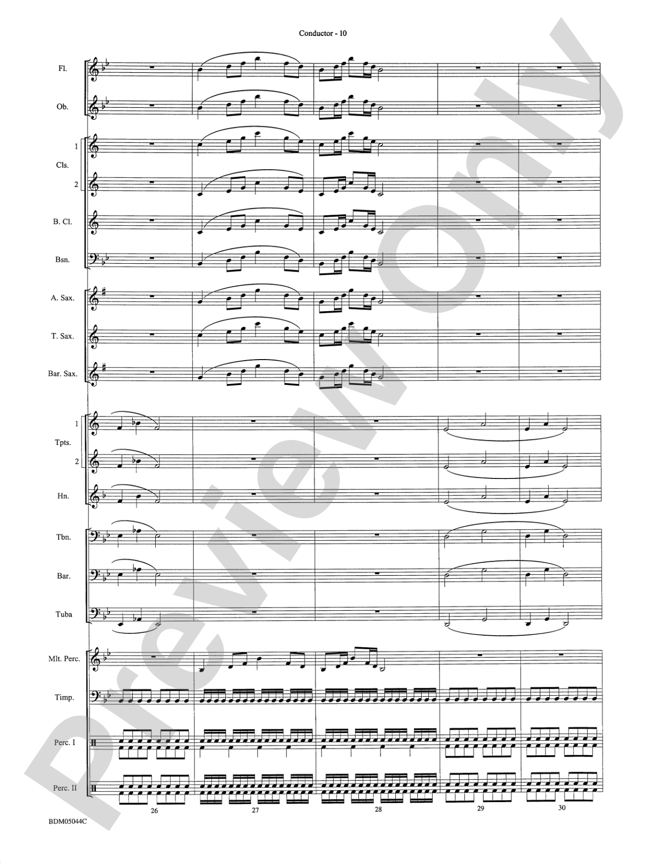 Developing Band Clinic (A Warm-Up and Fundamental Sequence for Concert Band): Concert Band Conductor Score & Parts