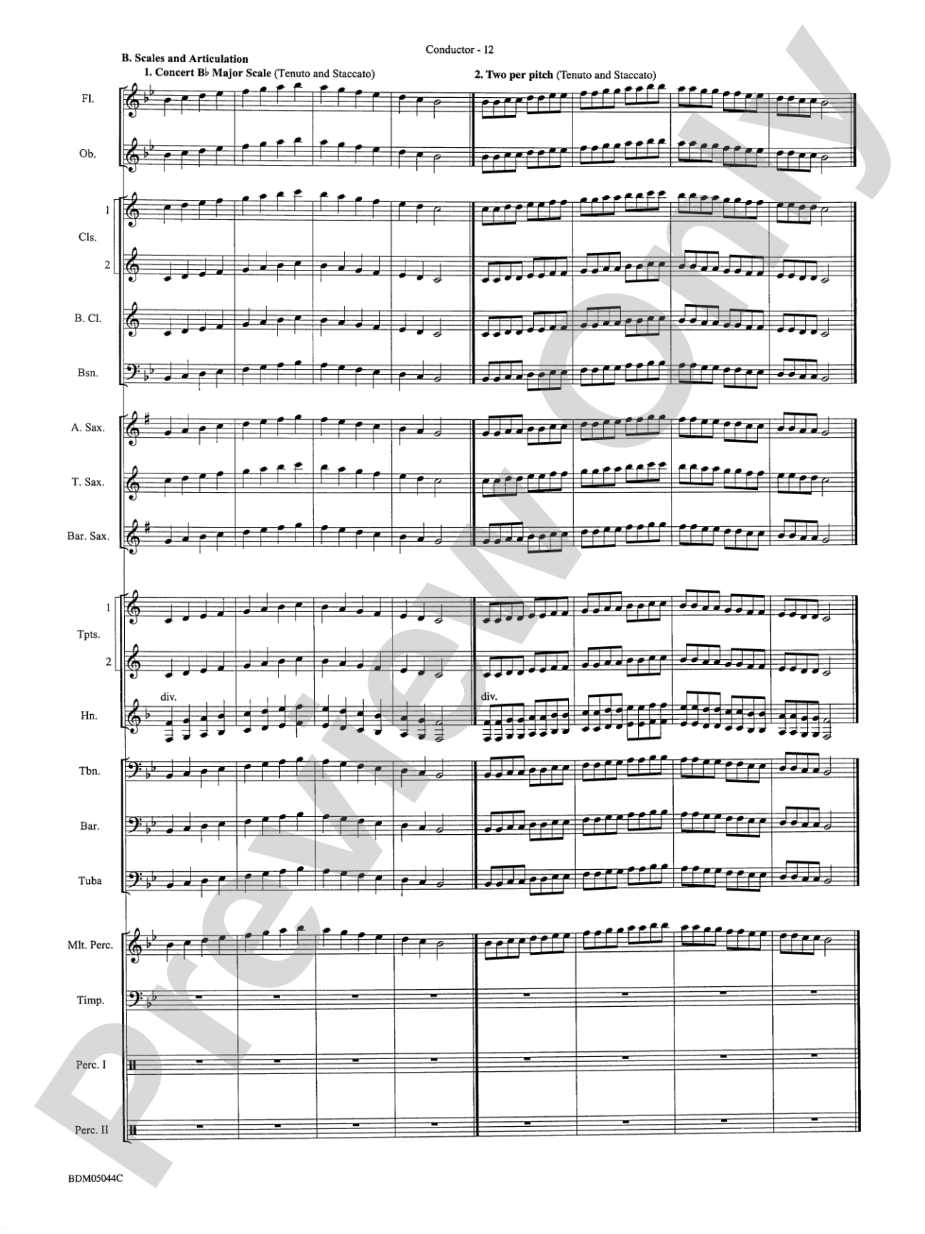Developing Band Clinic (A Warm-Up and Fundamental Sequence for Concert Band): Concert Band Conductor Score & Parts