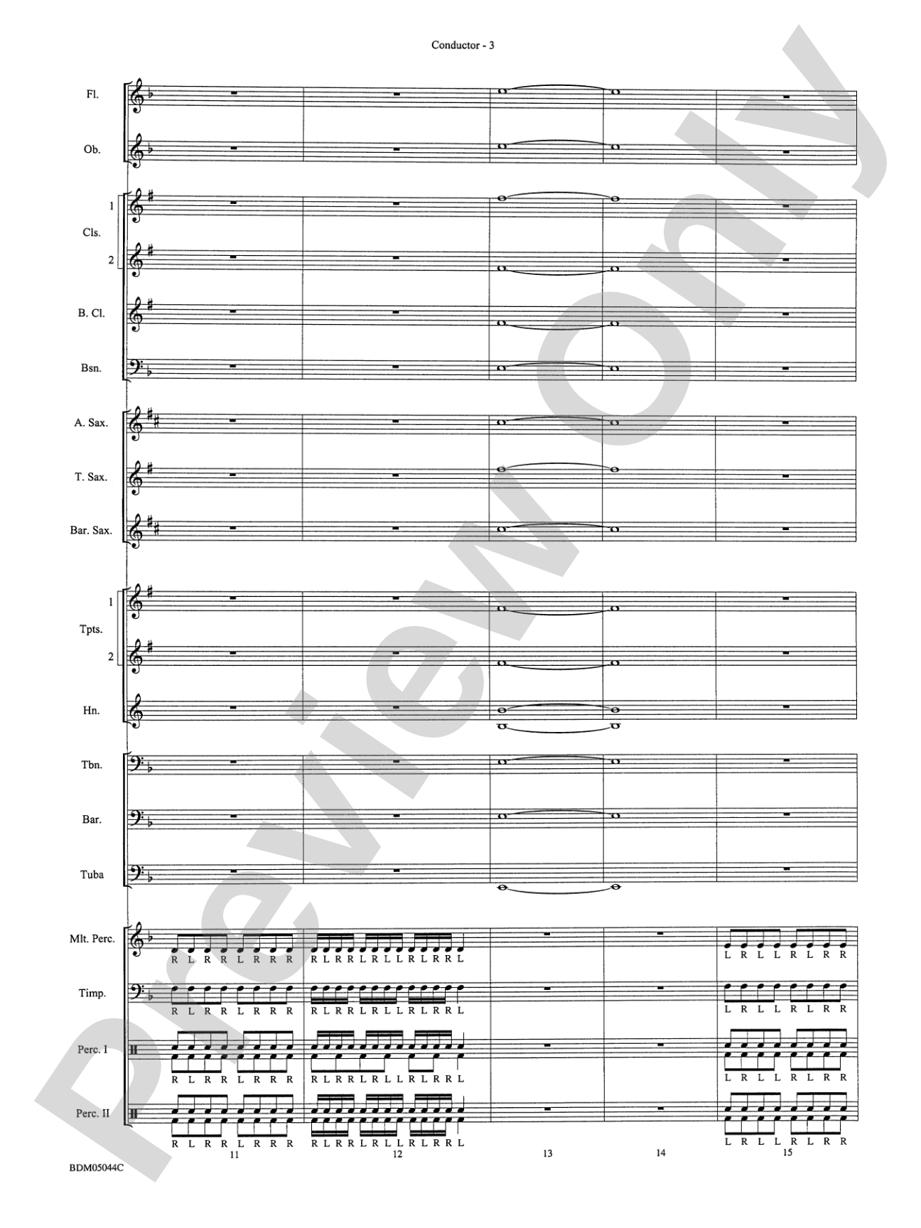 Developing Band Clinic (A Warm-Up and Fundamental Sequence for Concert Band): Concert Band Conductor Score & Parts