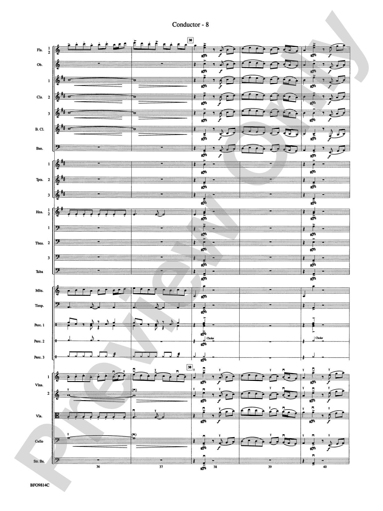 Into the Storm: Full Orchestra Conductor Score & Parts