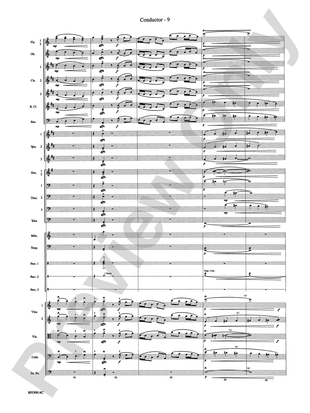 Into the Storm: Full Orchestra Conductor Score & Parts