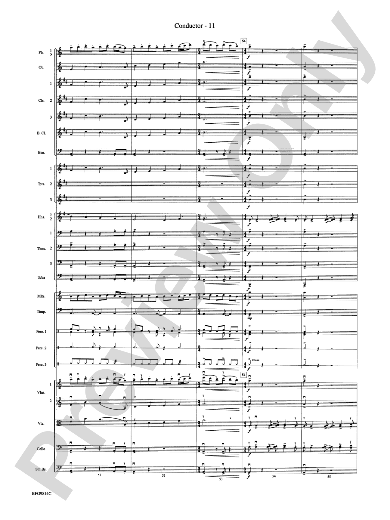 Into the Storm: Full Orchestra Conductor Score & Parts