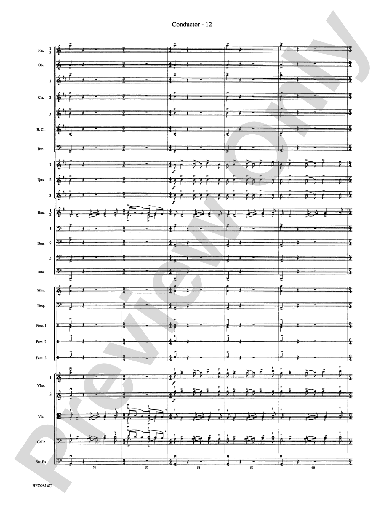 Into the Storm: Full Orchestra Conductor Score & Parts