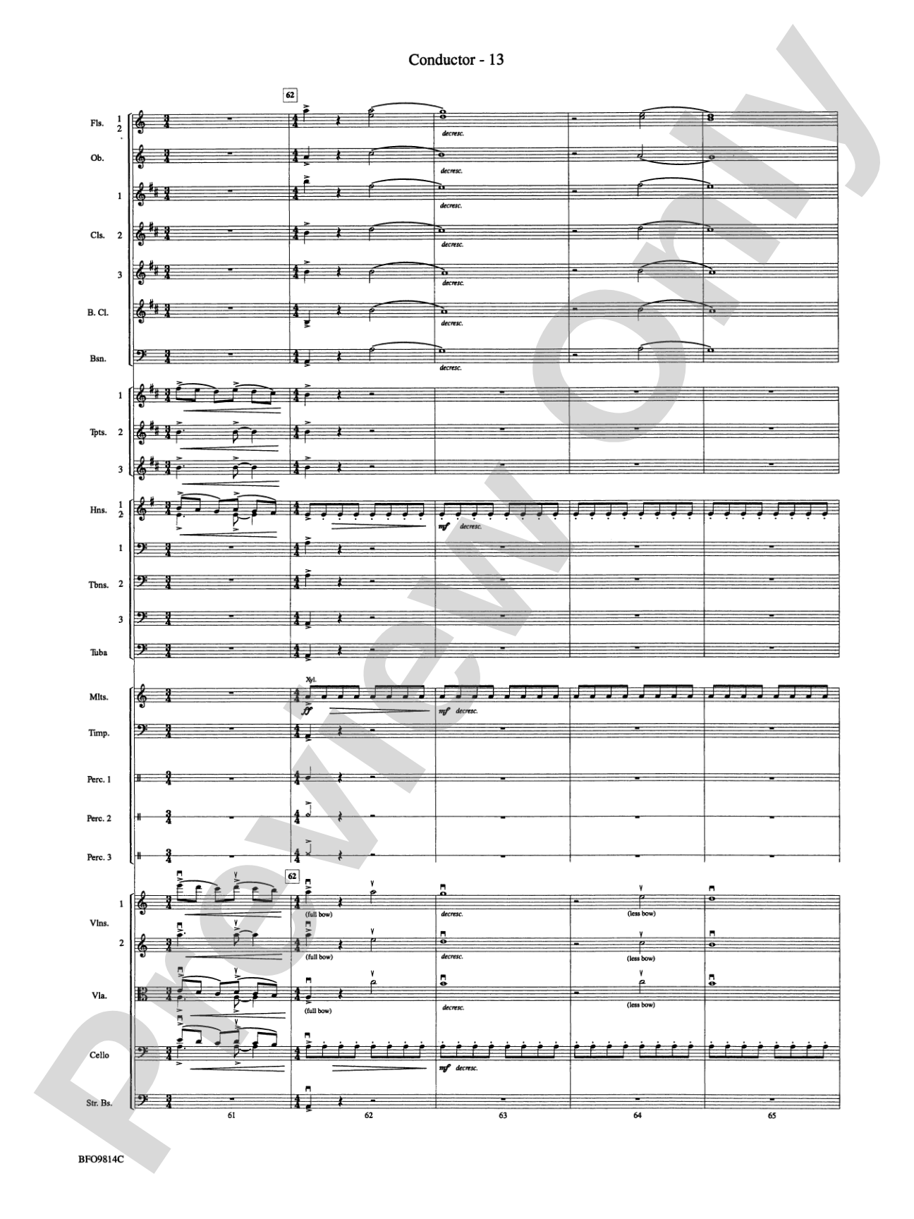 Into the Storm: Full Orchestra Conductor Score & Parts