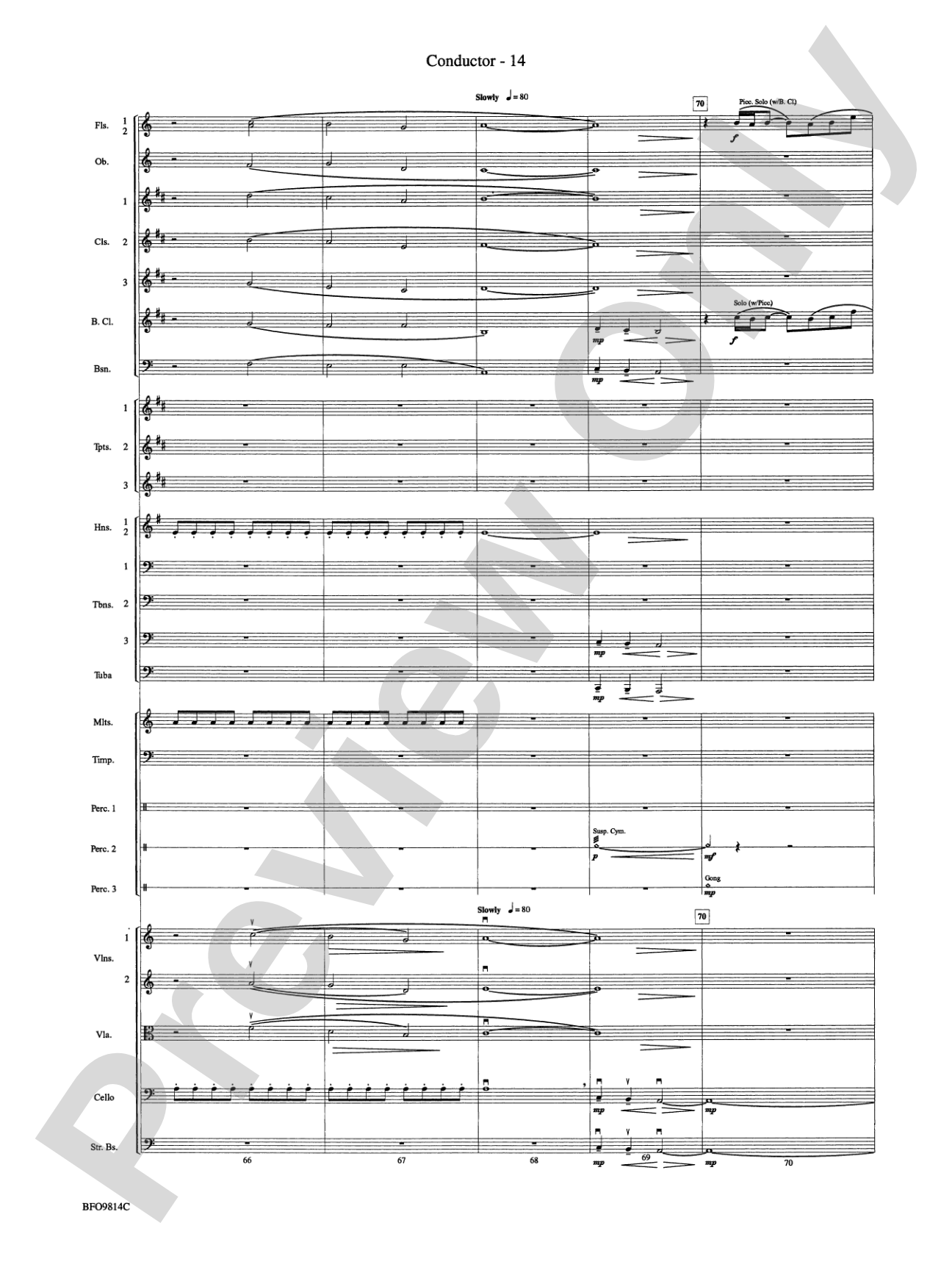 Into the Storm: Full Orchestra Conductor Score & Parts