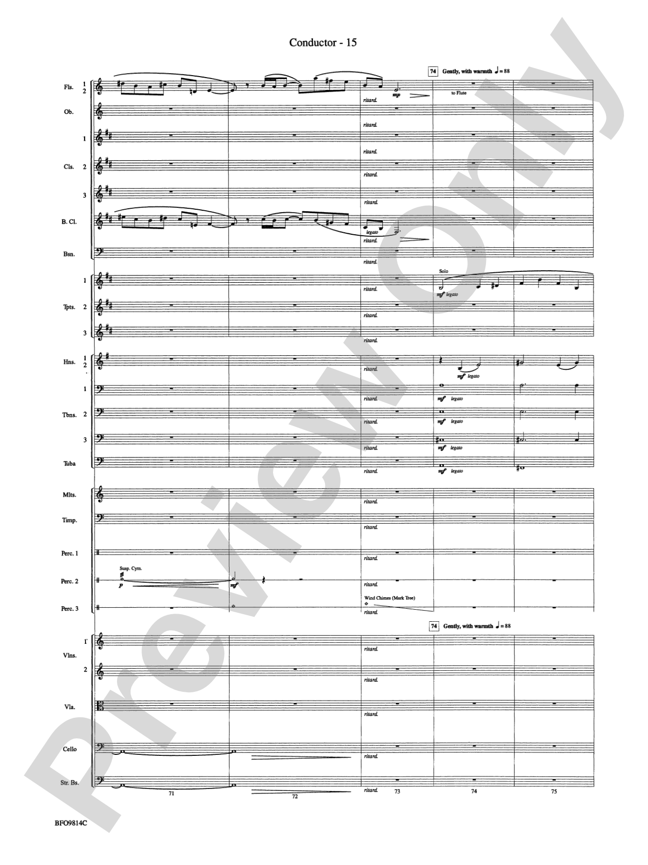 Into the Storm: Full Orchestra Conductor Score & Parts