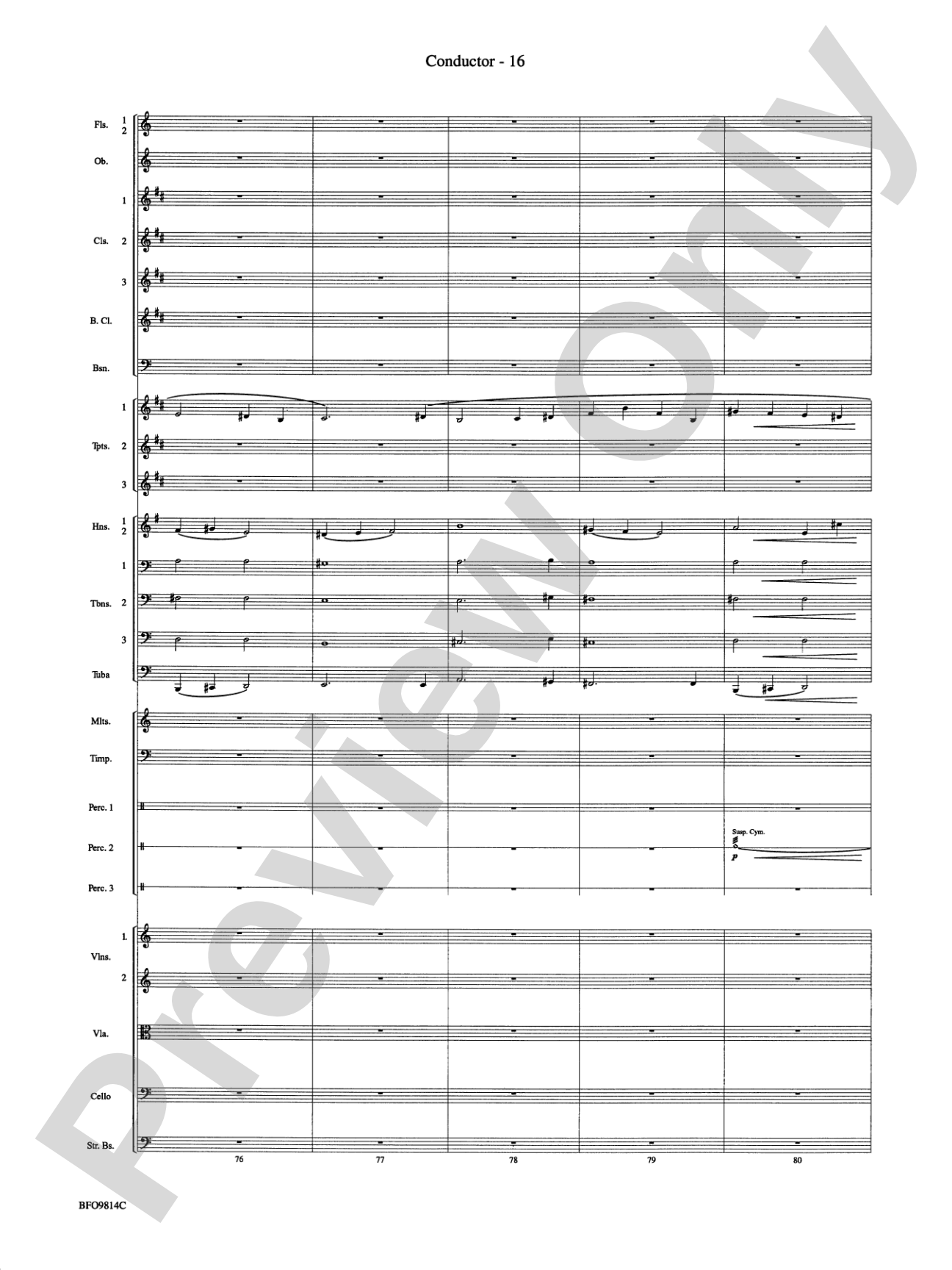 Into the Storm: Full Orchestra Conductor Score & Parts