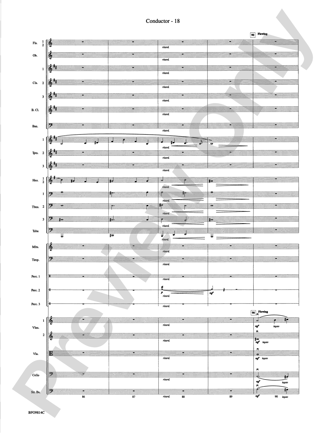 Into the Storm: Full Orchestra Conductor Score & Parts