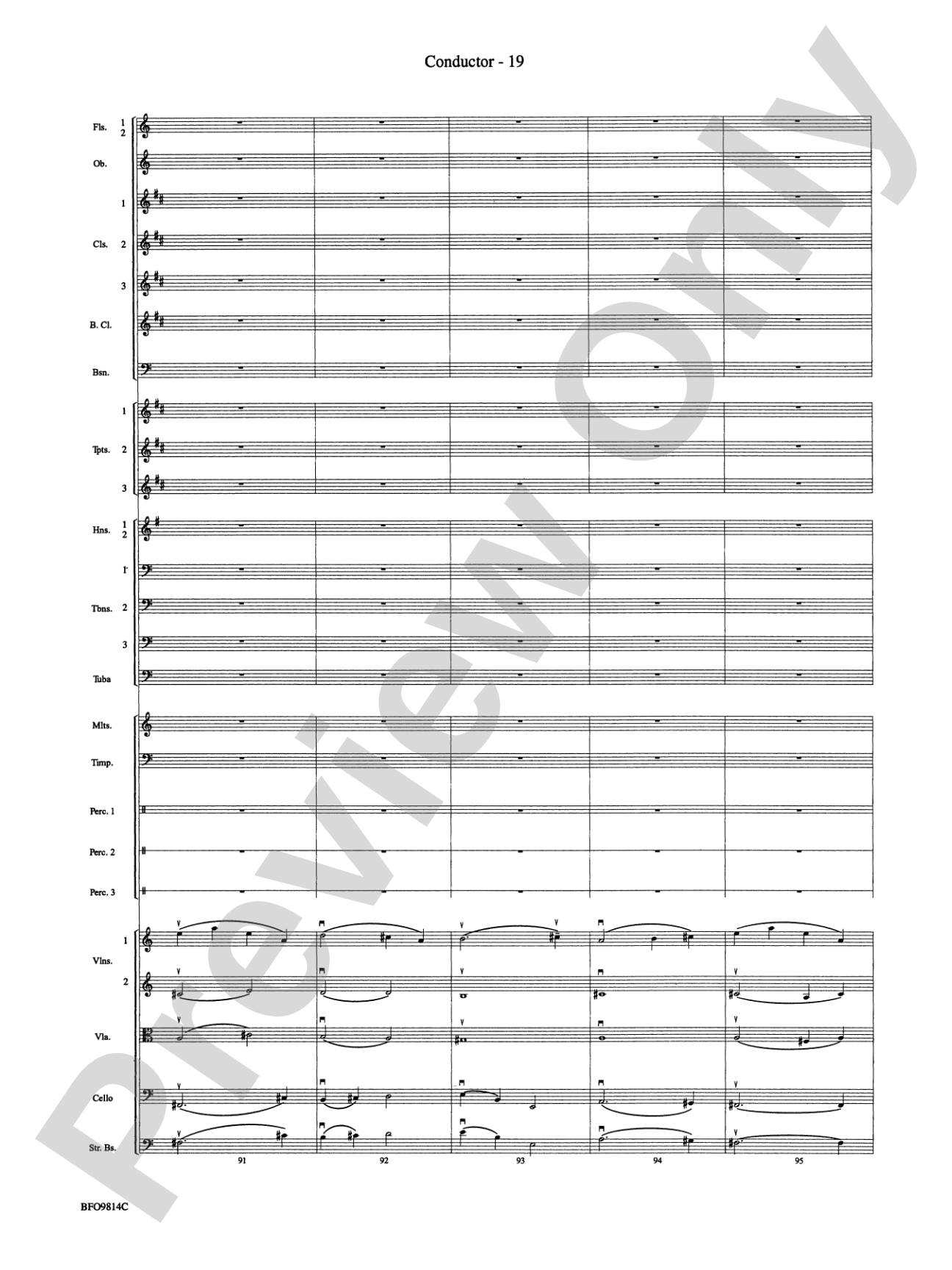 Into the Storm: Full Orchestra Conductor Score & Parts