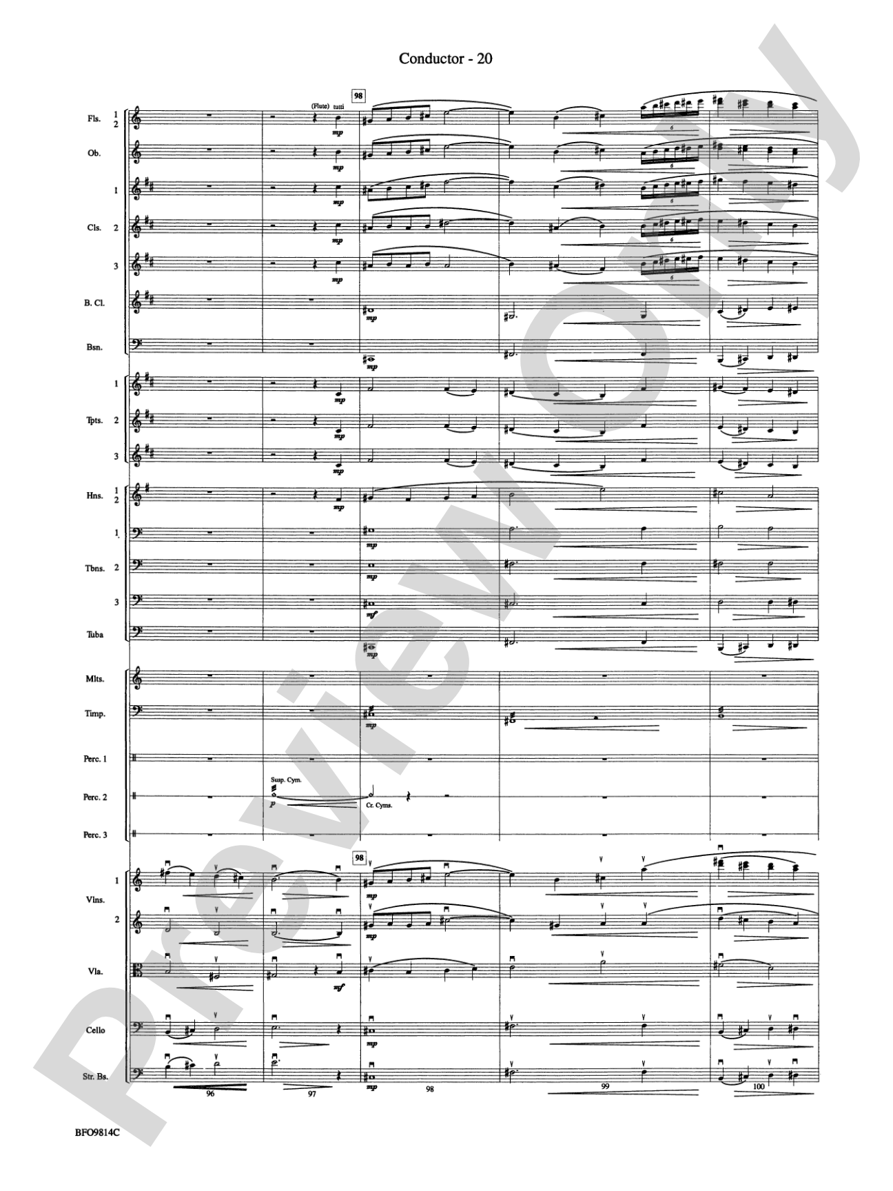 Into the Storm: Full Orchestra Conductor Score & Parts
