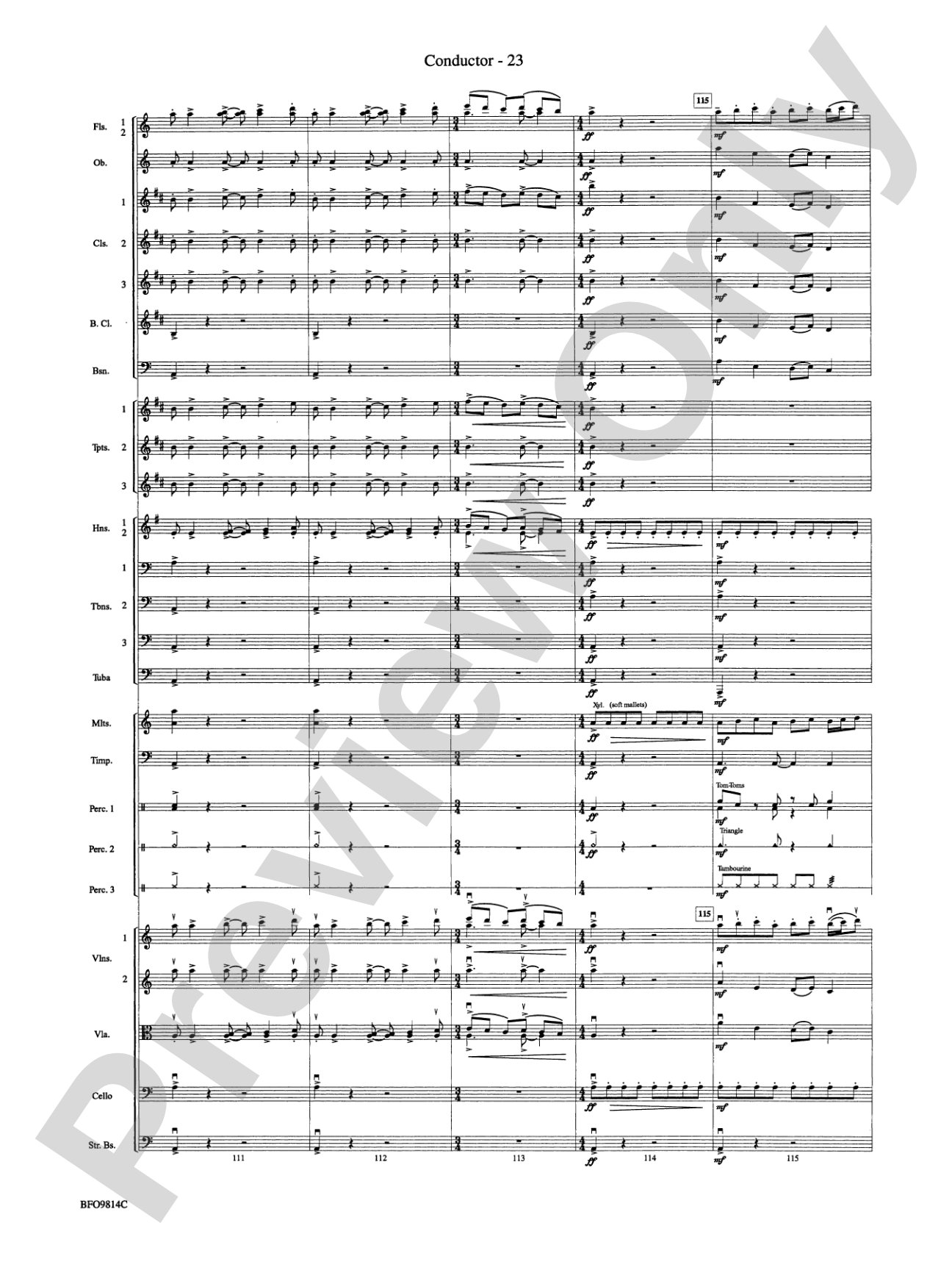 Into the Storm: Full Orchestra Conductor Score & Parts