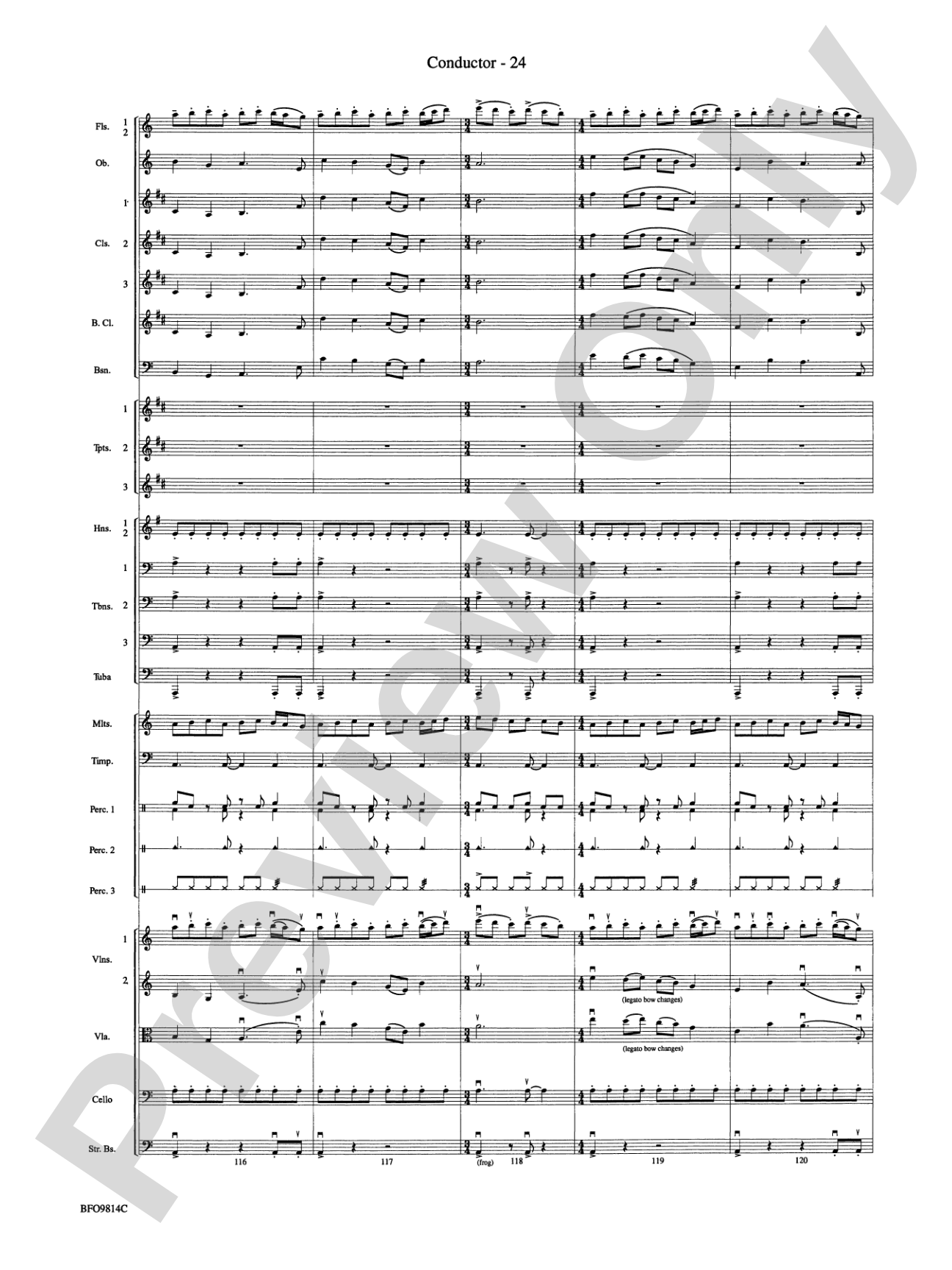 Into the Storm: Full Orchestra Conductor Score & Parts