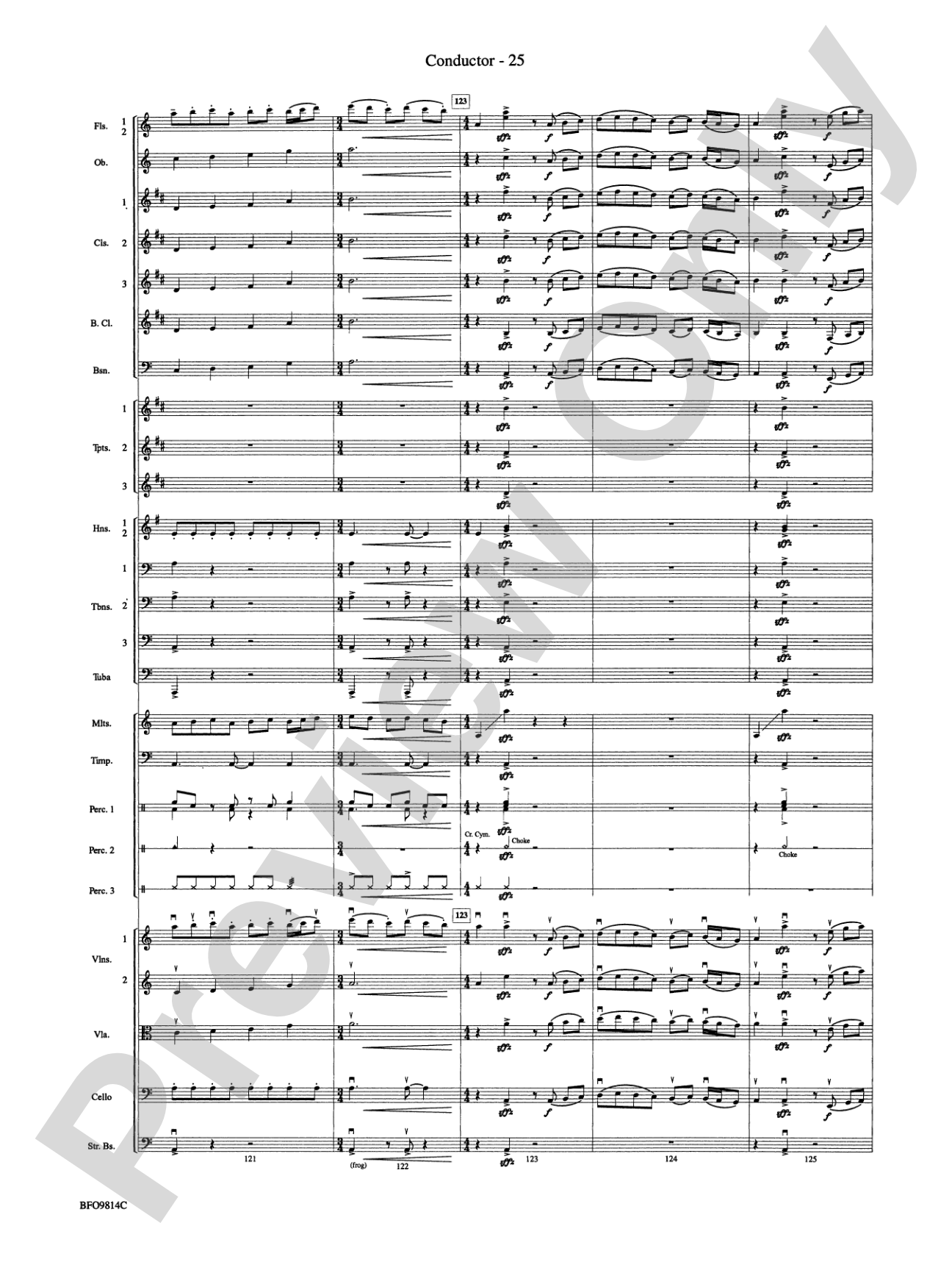 Into the Storm: Full Orchestra Conductor Score & Parts
