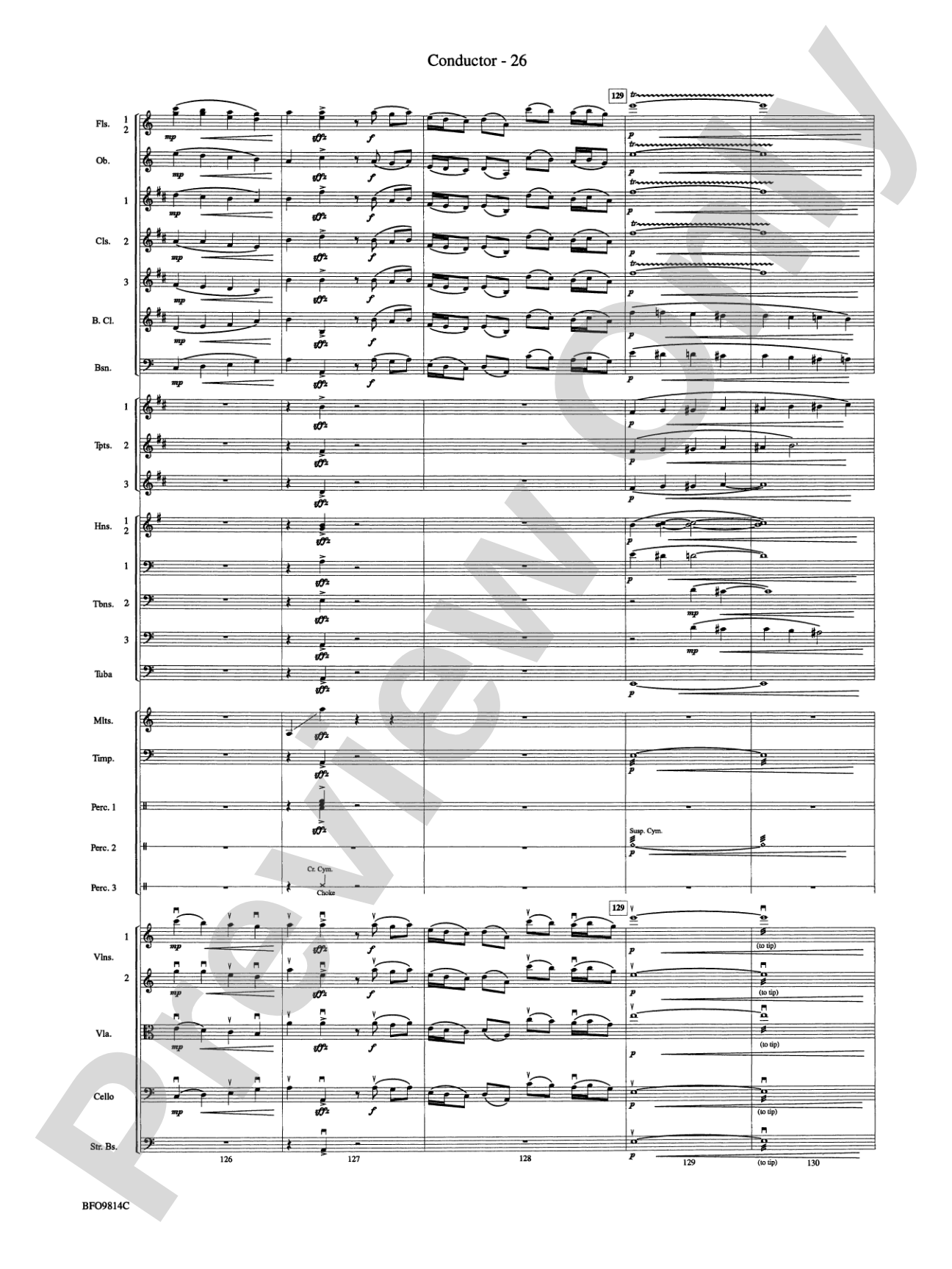 Into the Storm: Full Orchestra Conductor Score & Parts