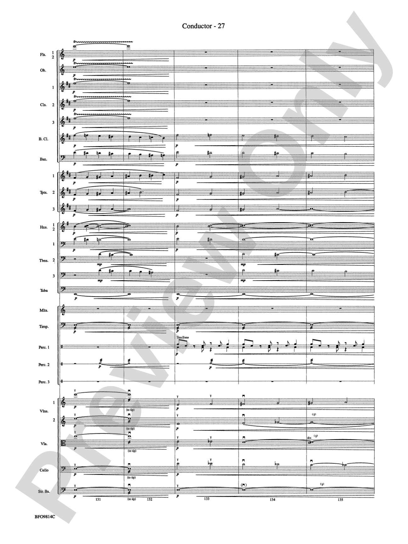 Into the Storm: Full Orchestra Conductor Score & Parts