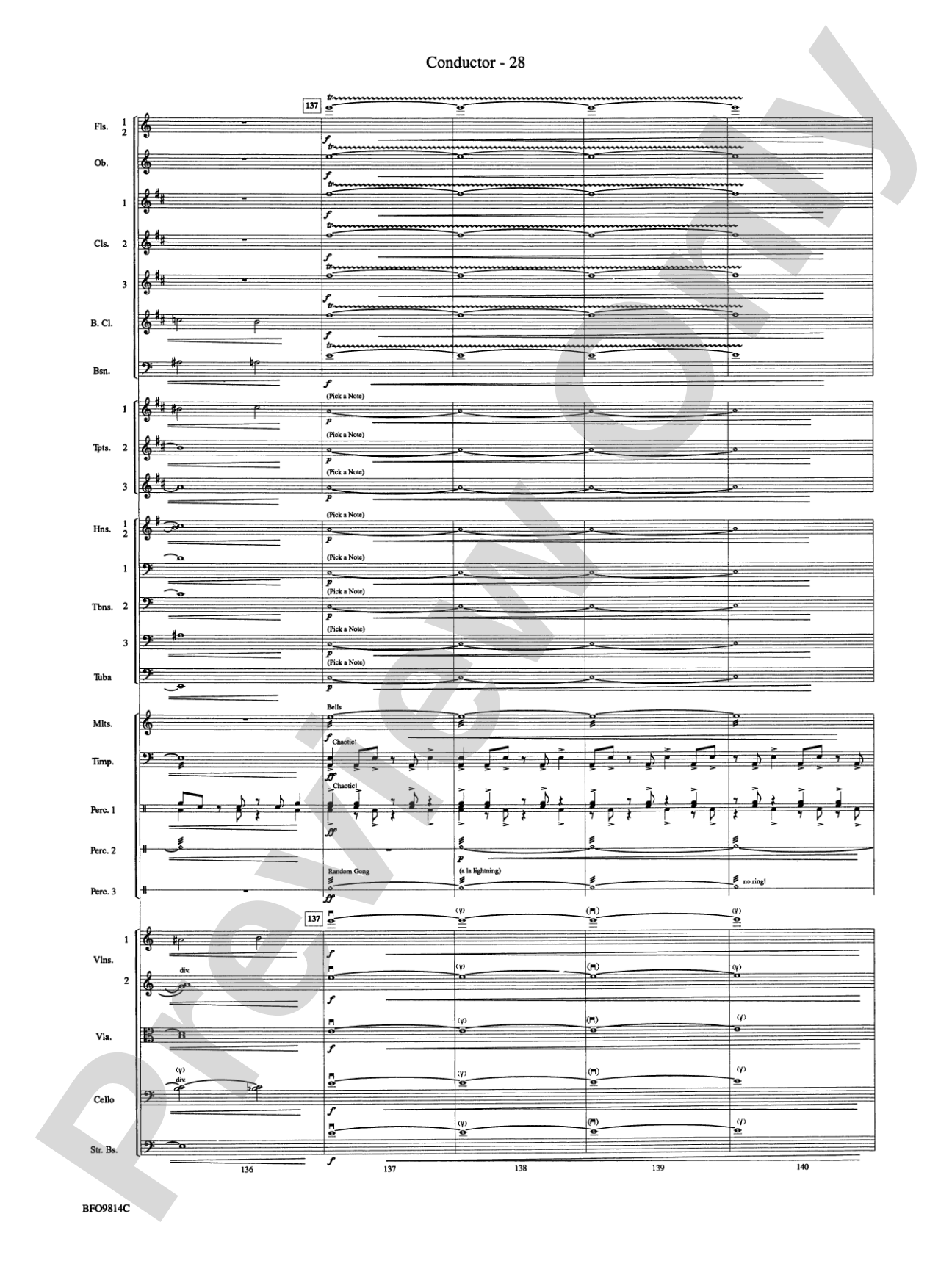 Into the Storm: Full Orchestra Conductor Score & Parts