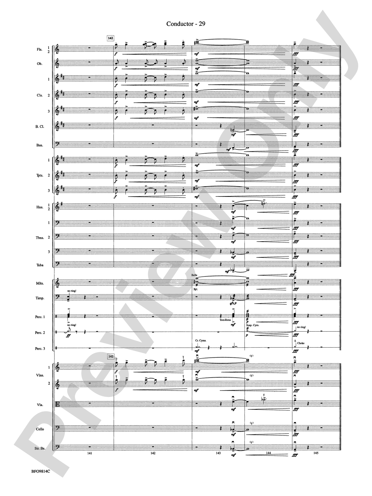 Into the Storm: Full Orchestra Conductor Score & Parts