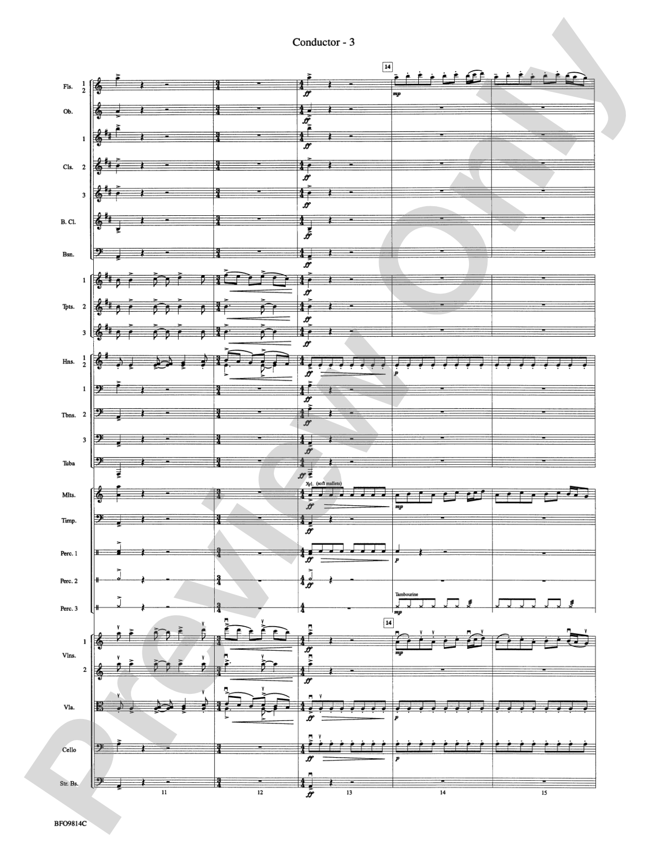 Into the Storm: Full Orchestra Conductor Score & Parts