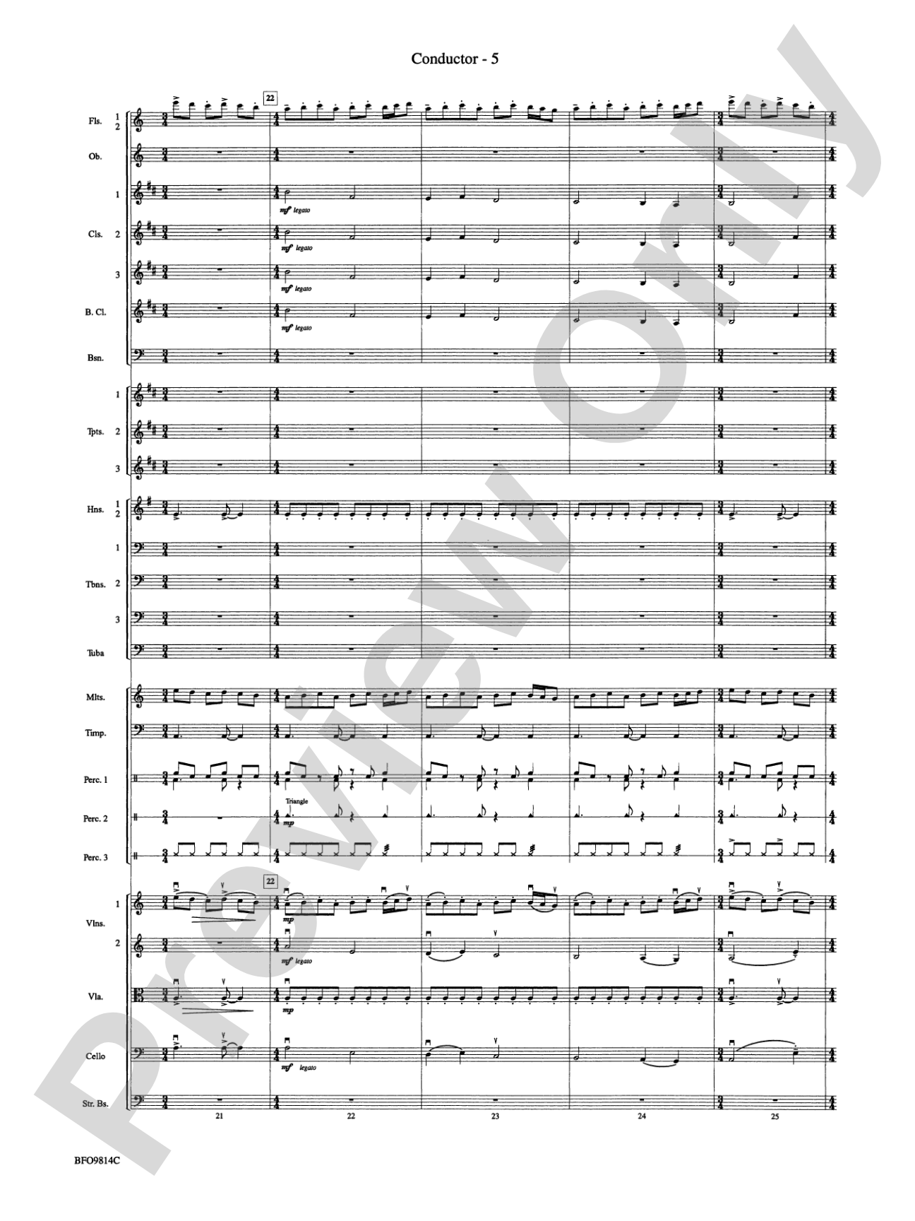 Into the Storm: Full Orchestra Conductor Score & Parts