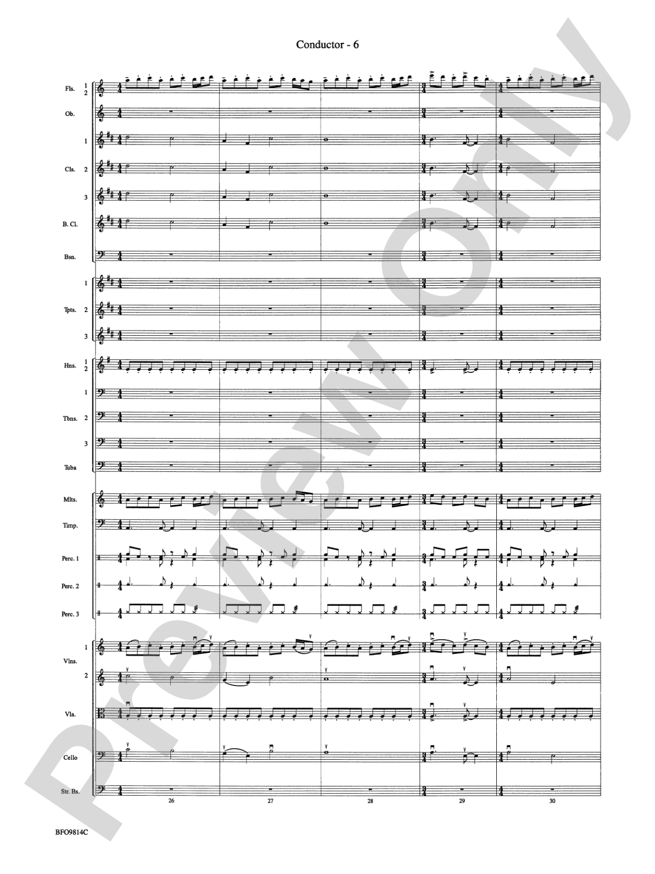 Into the Storm: Full Orchestra Conductor Score & Parts