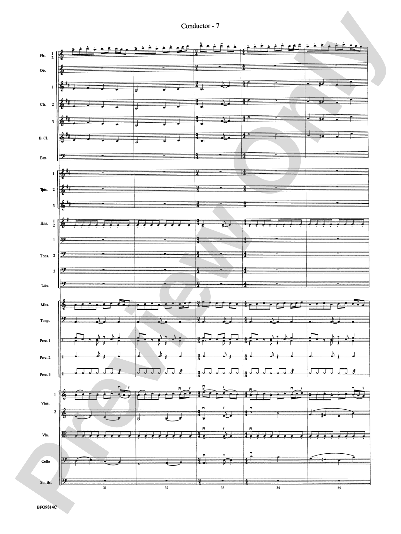 Into the Storm: Full Orchestra Conductor Score & Parts