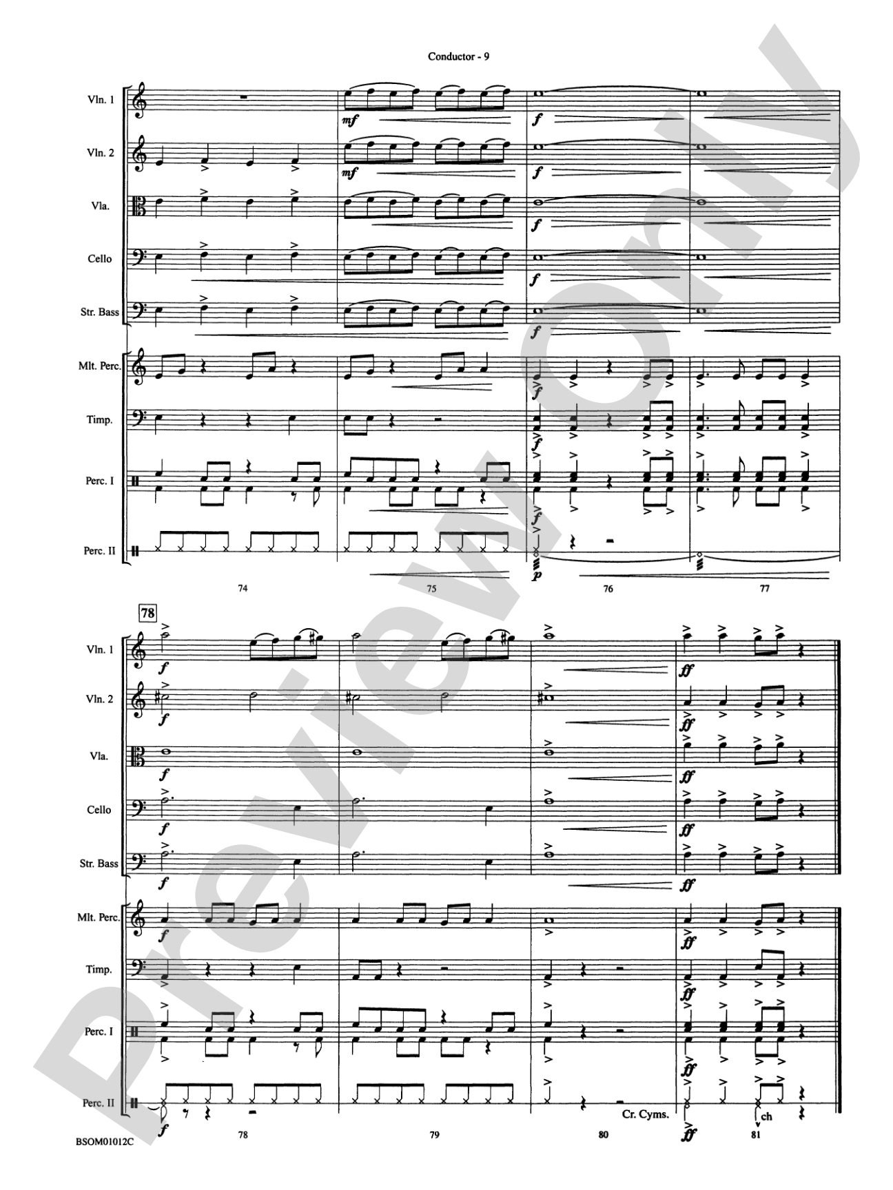 Serengeti Dreams (with Opt. Percussion Ensemble): String Orchestra Conductor Score & Parts