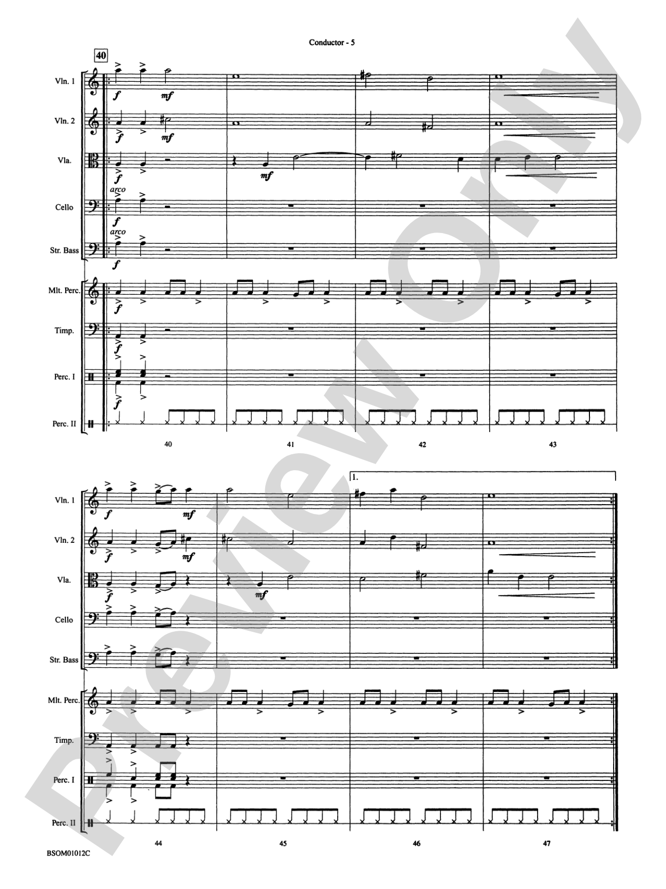 Serengeti Dreams (with Opt. Percussion Ensemble): String Orchestra Conductor Score & Parts