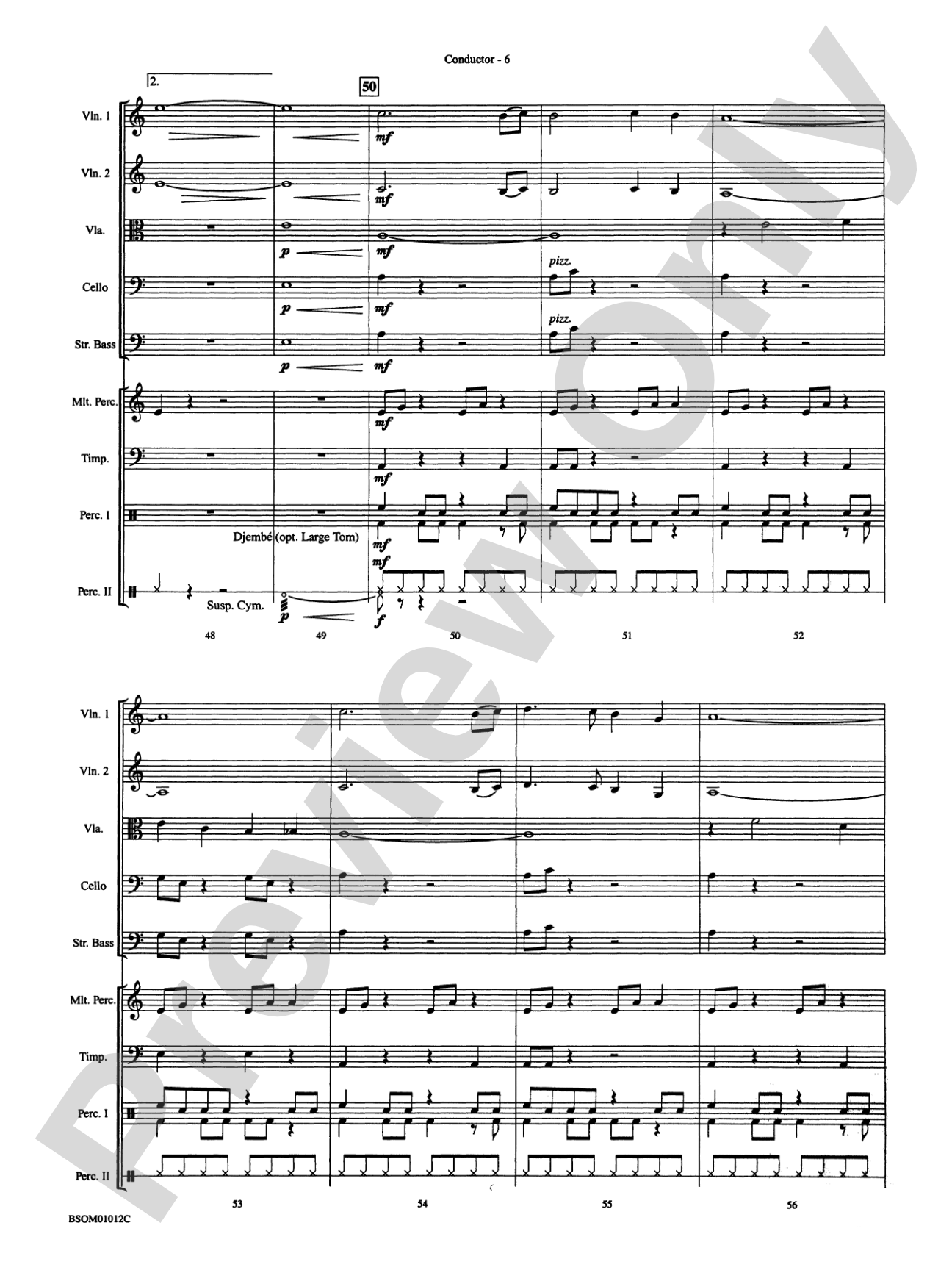Serengeti Dreams (with Opt. Percussion Ensemble): String Orchestra Conductor Score & Parts