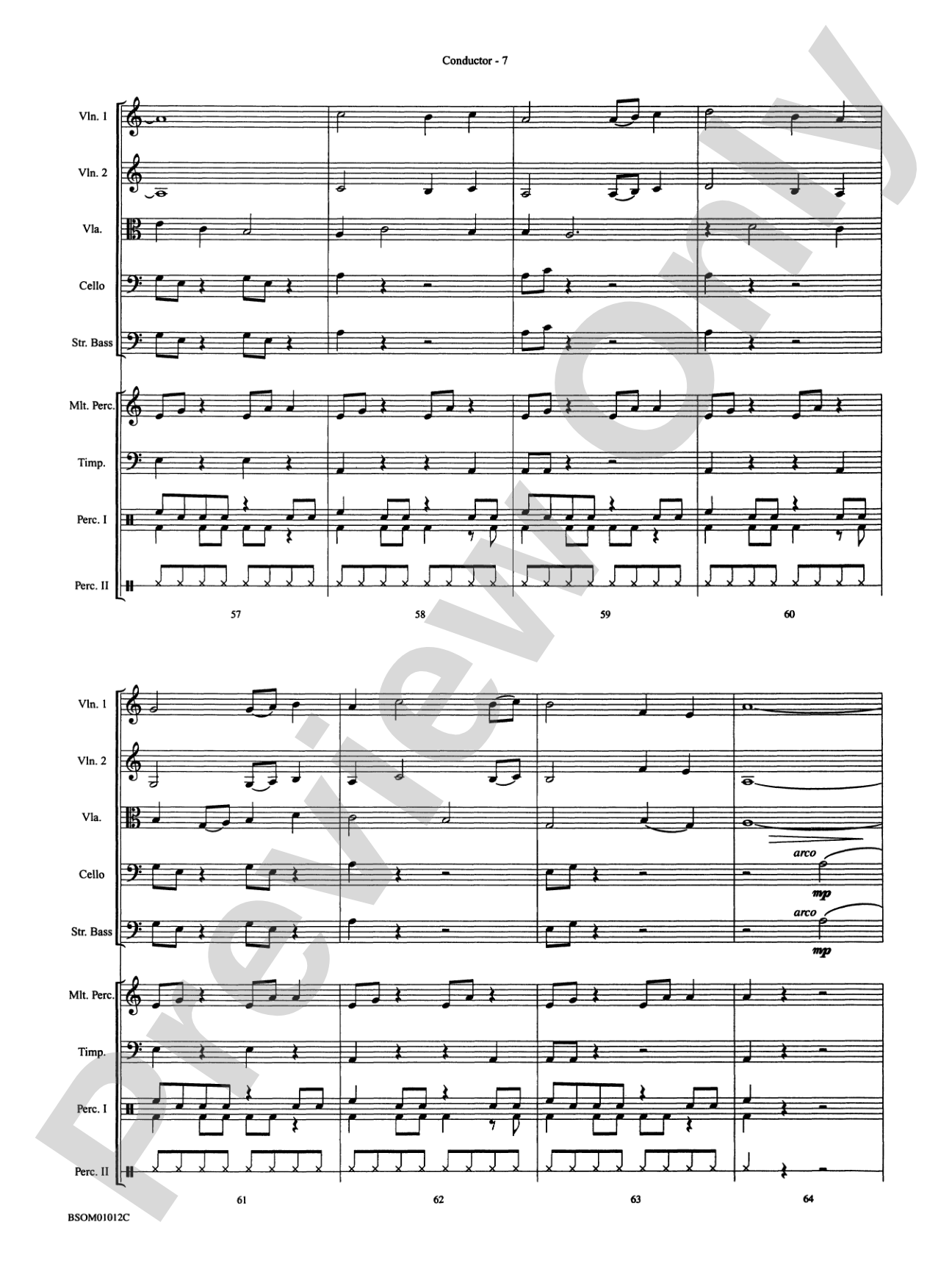 Serengeti Dreams (with Opt. Percussion Ensemble): String Orchestra Conductor Score & Parts