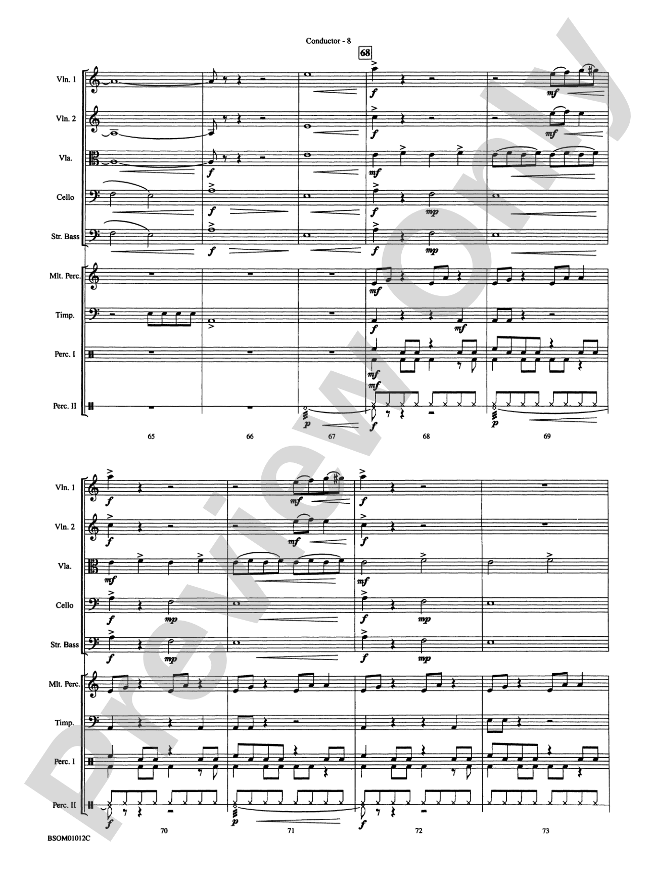 Serengeti Dreams (with Opt. Percussion Ensemble): String Orchestra Conductor Score & Parts
