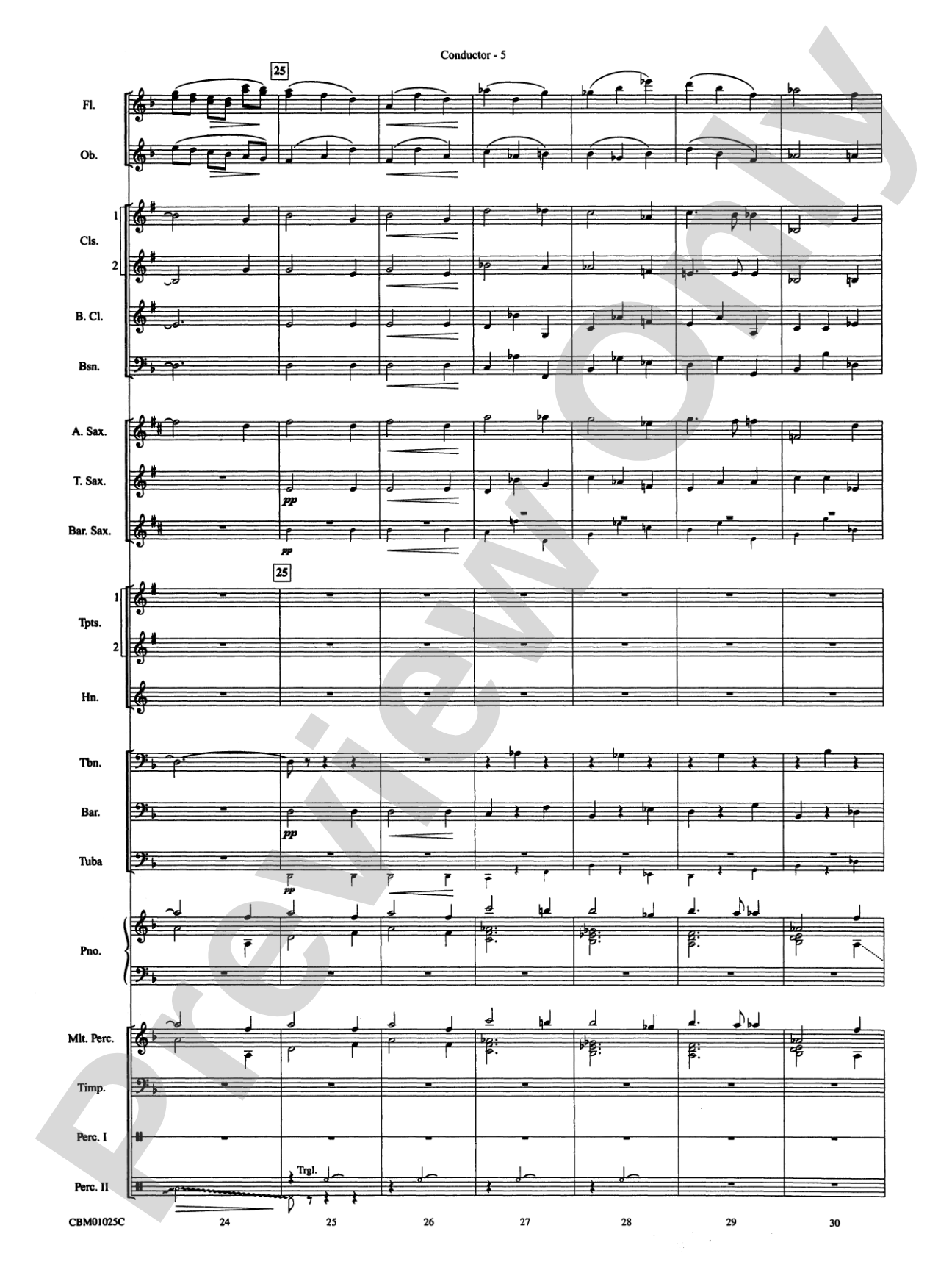 Hedwig's Theme (from Harry Potter): Concert Band Conductor Score & Parts