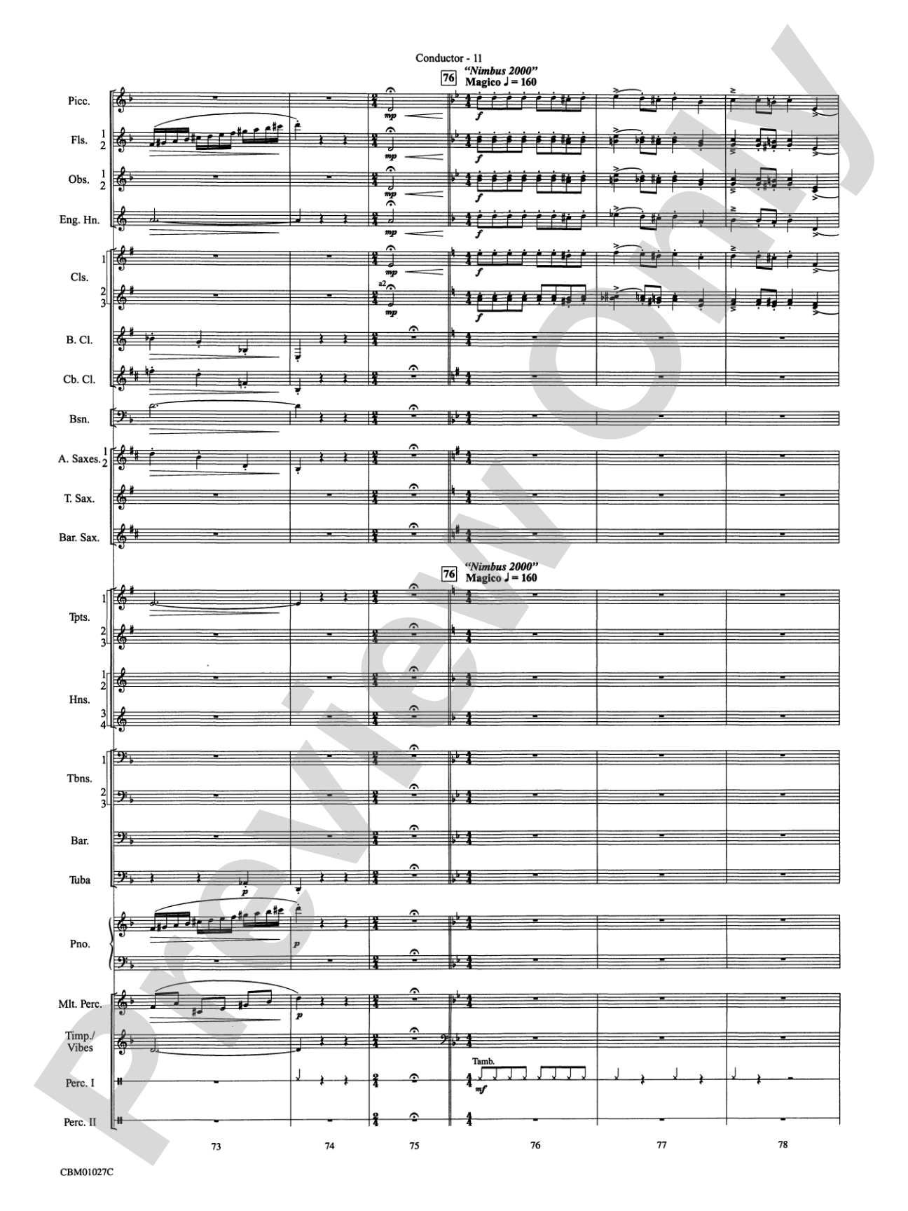 Harry Potter Symphonic Suite: Concert Band Conductor Score & Parts