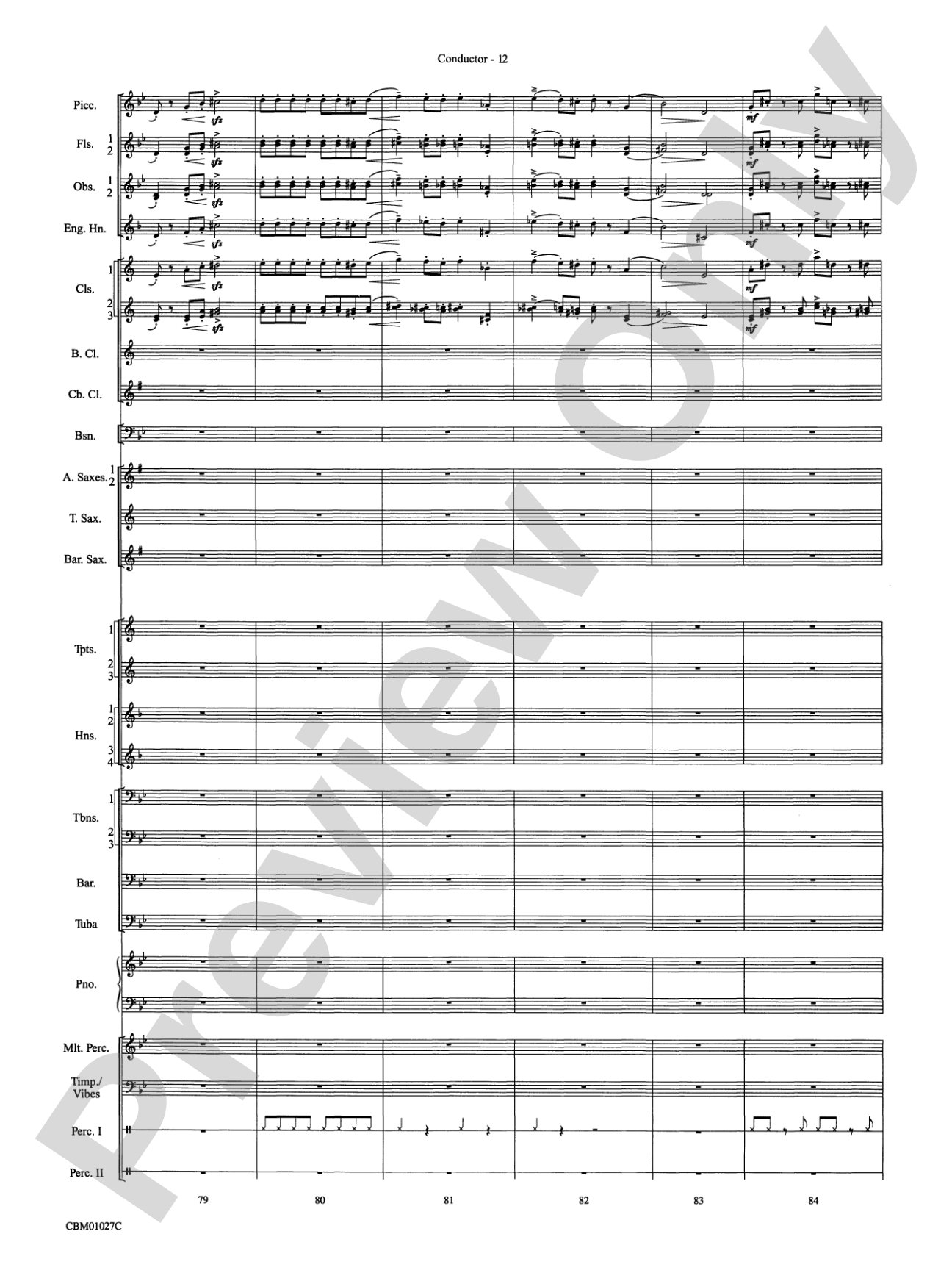 Harry Potter Symphonic Suite: Concert Band Conductor Score & Parts