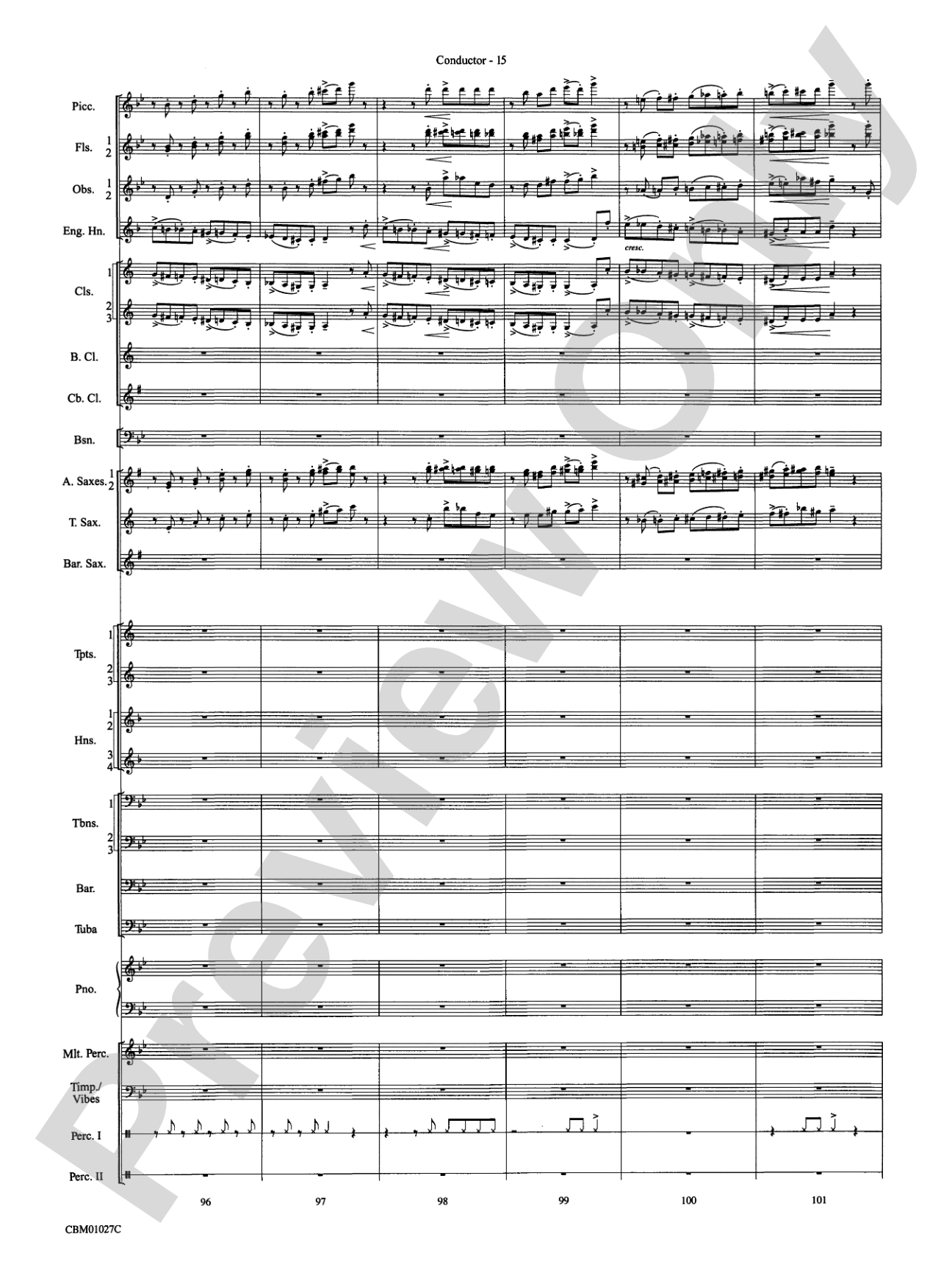 Harry Potter Symphonic Suite: Concert Band Conductor Score & Parts