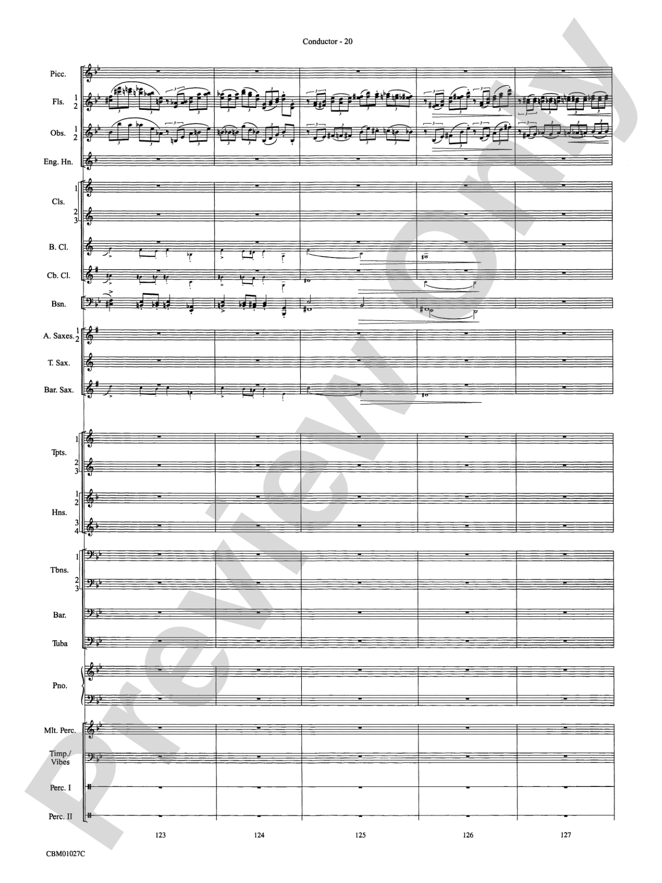 Harry Potter Symphonic Suite: Concert Band Conductor Score & Parts