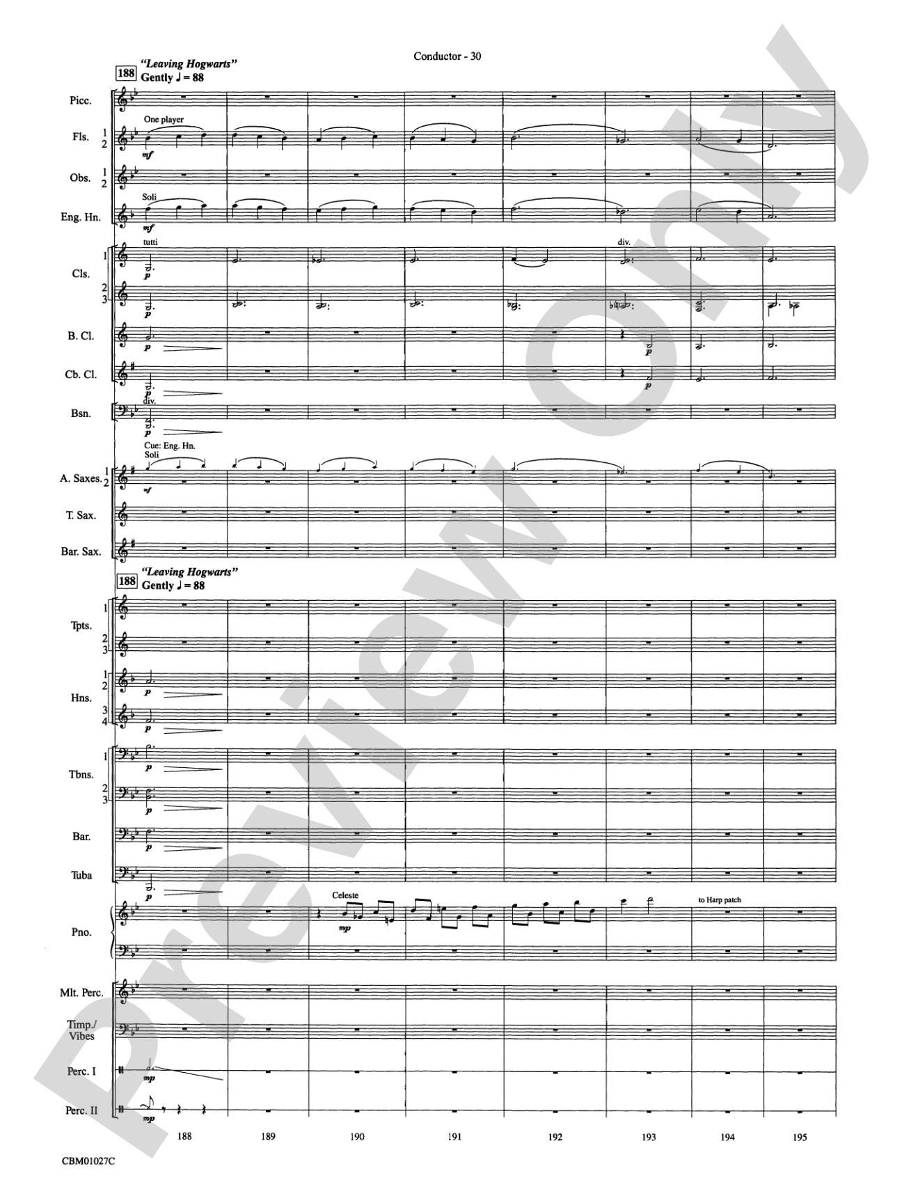 Harry Potter Symphonic Suite: Concert Band Conductor Score & Parts